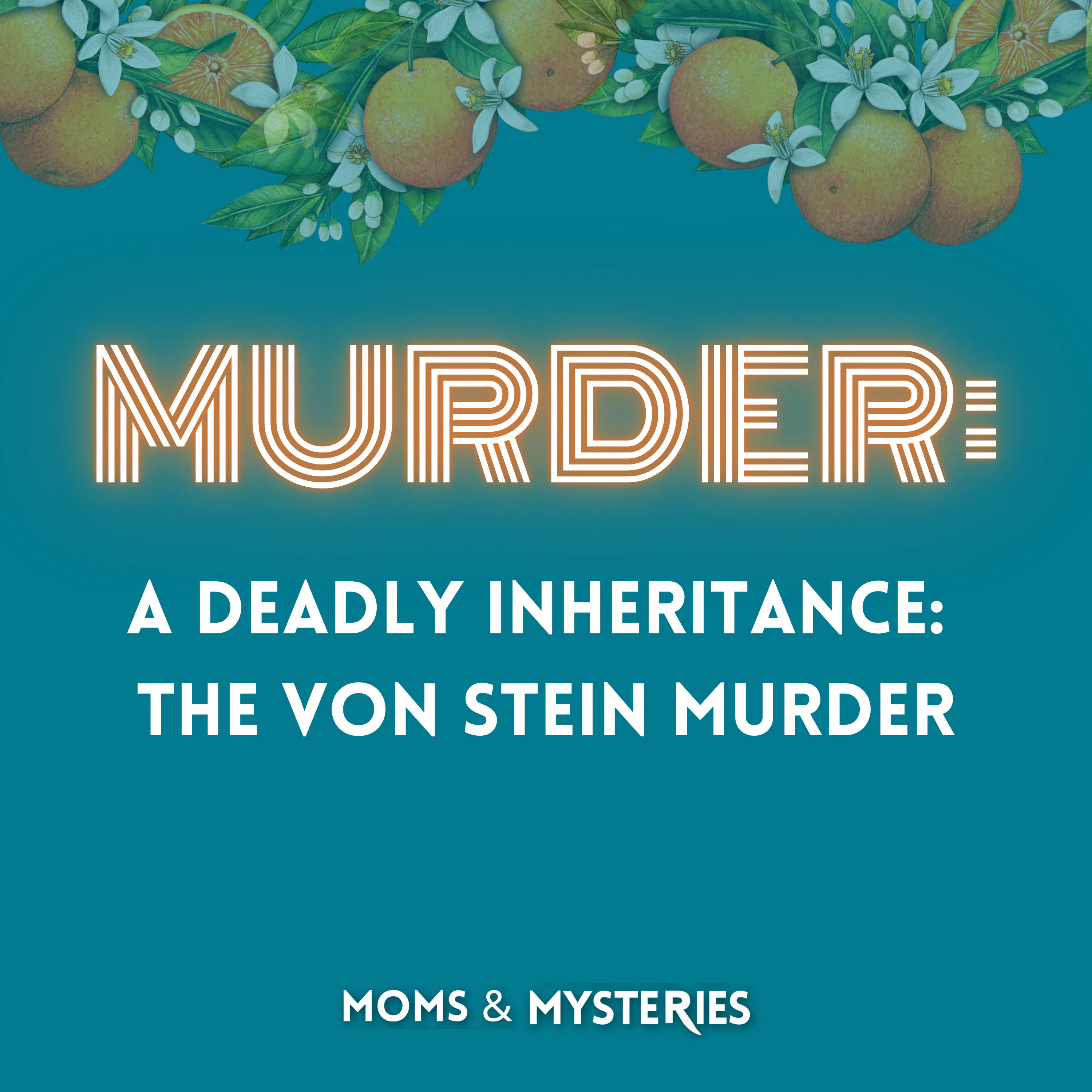 A Deadly Inheritance: The Von Stein Murder