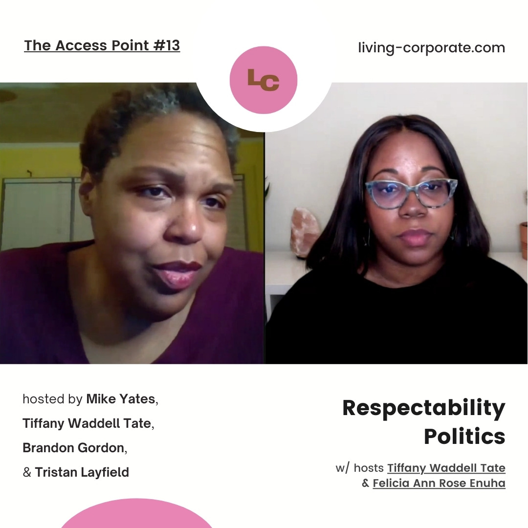 The Access Point : Respectability Politics (w/ Felicia Ann Rose Enuha) episode artwork