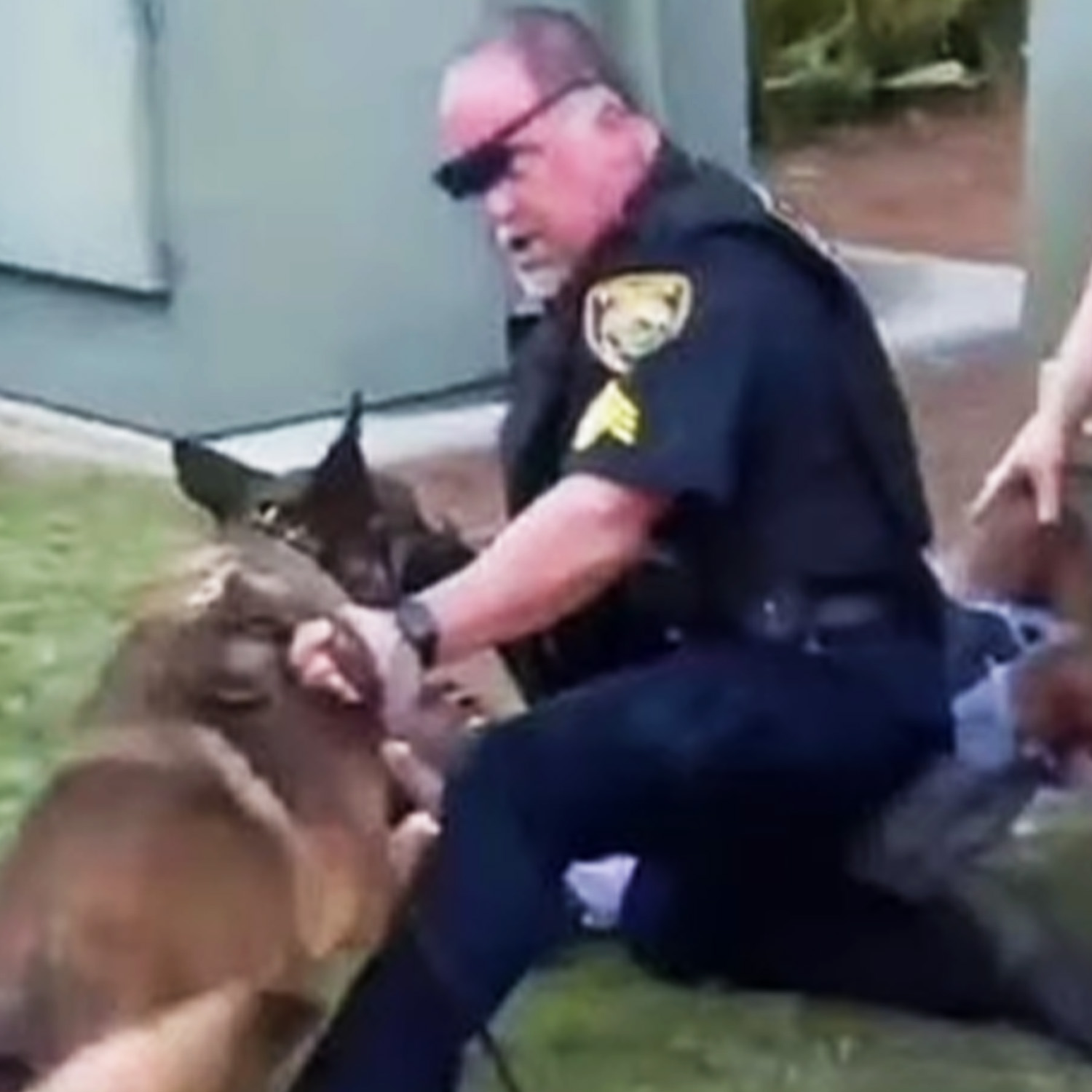 Cop Gets Mauled By His Own K-9