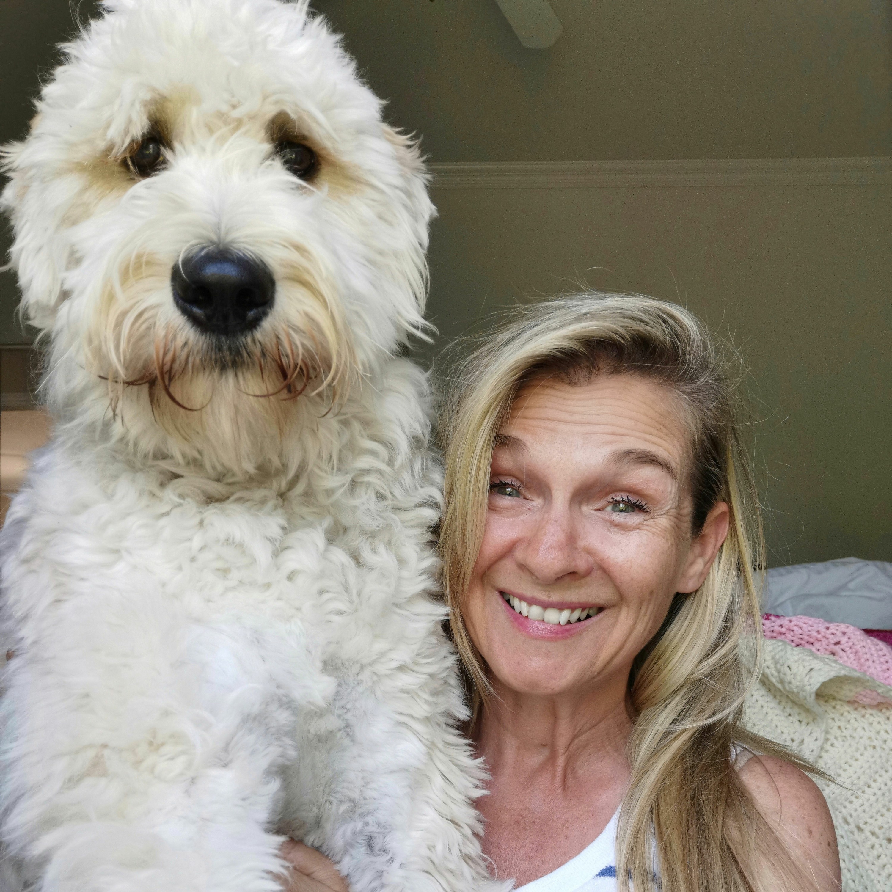 Critical Race Theory 101, She's the Boss, Sleepless in Canada and Emotional CPR