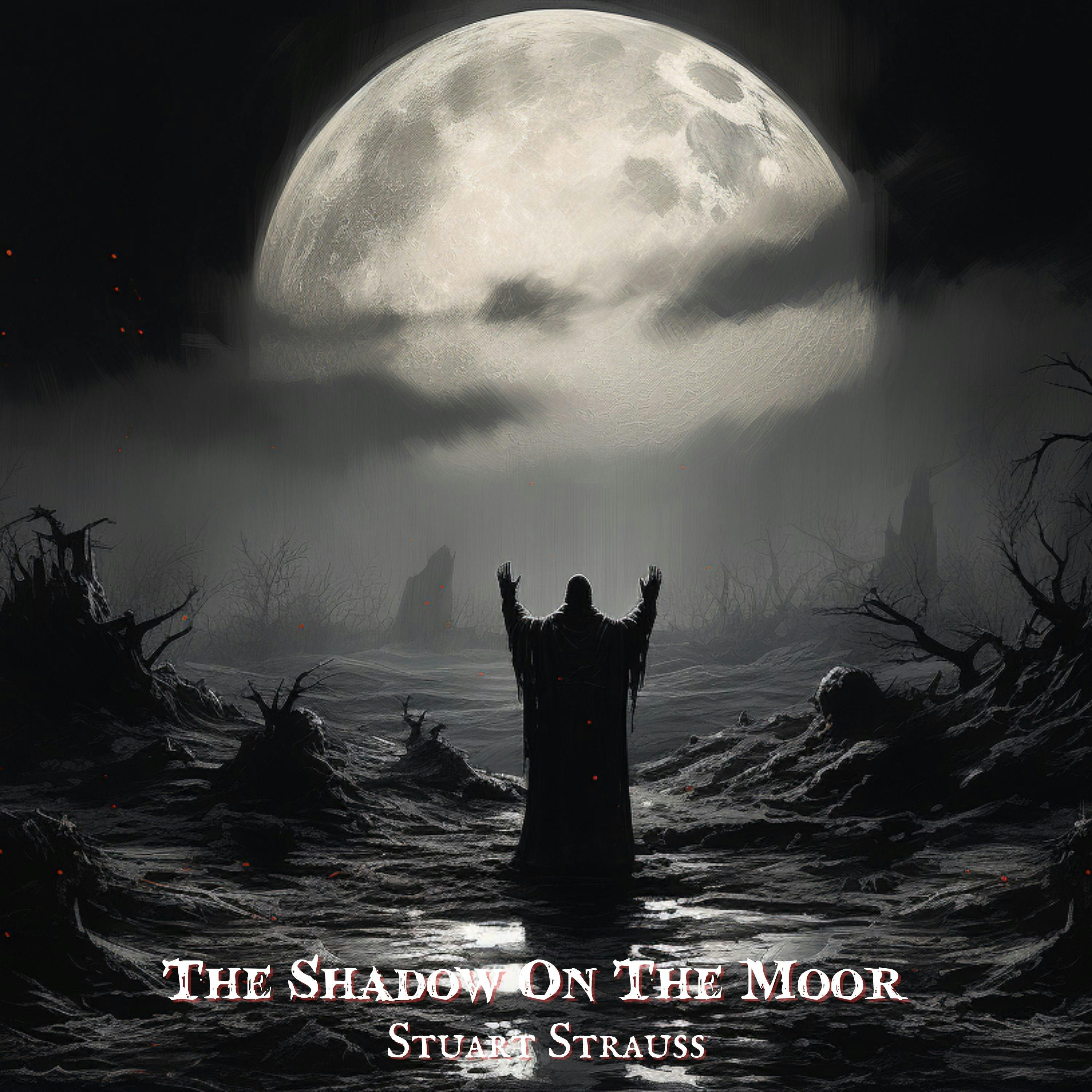 The Shadow on The Moor by Stuart Strauss