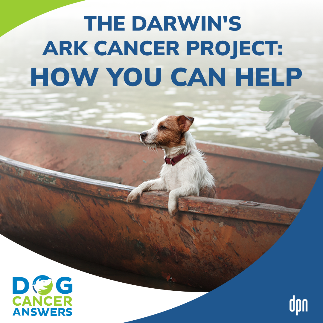 The Darwin's Ark Cancer Project: How You Can Help | Dr. Michelle White #172