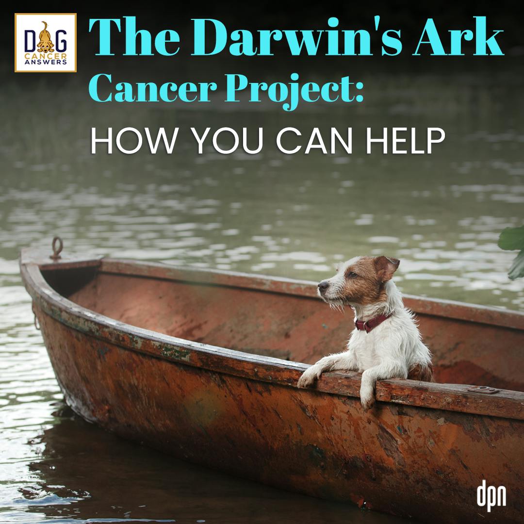 The Darwin's Ark Cancer Project: How You Can Help | Dr. Michelle White #172
