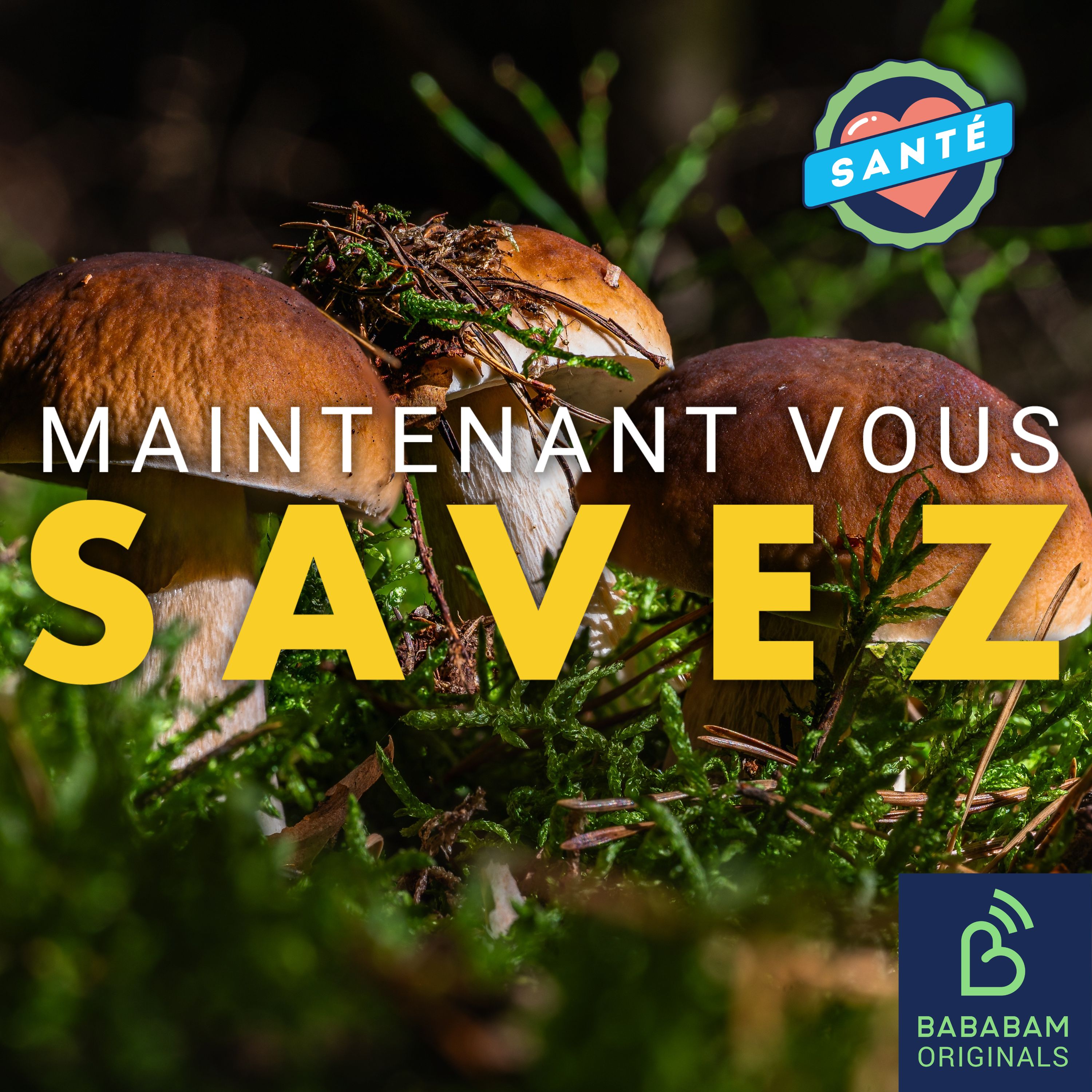 Shiitaké, reishi, chaga… les champignons sont-ils vraiment des superaliments ?