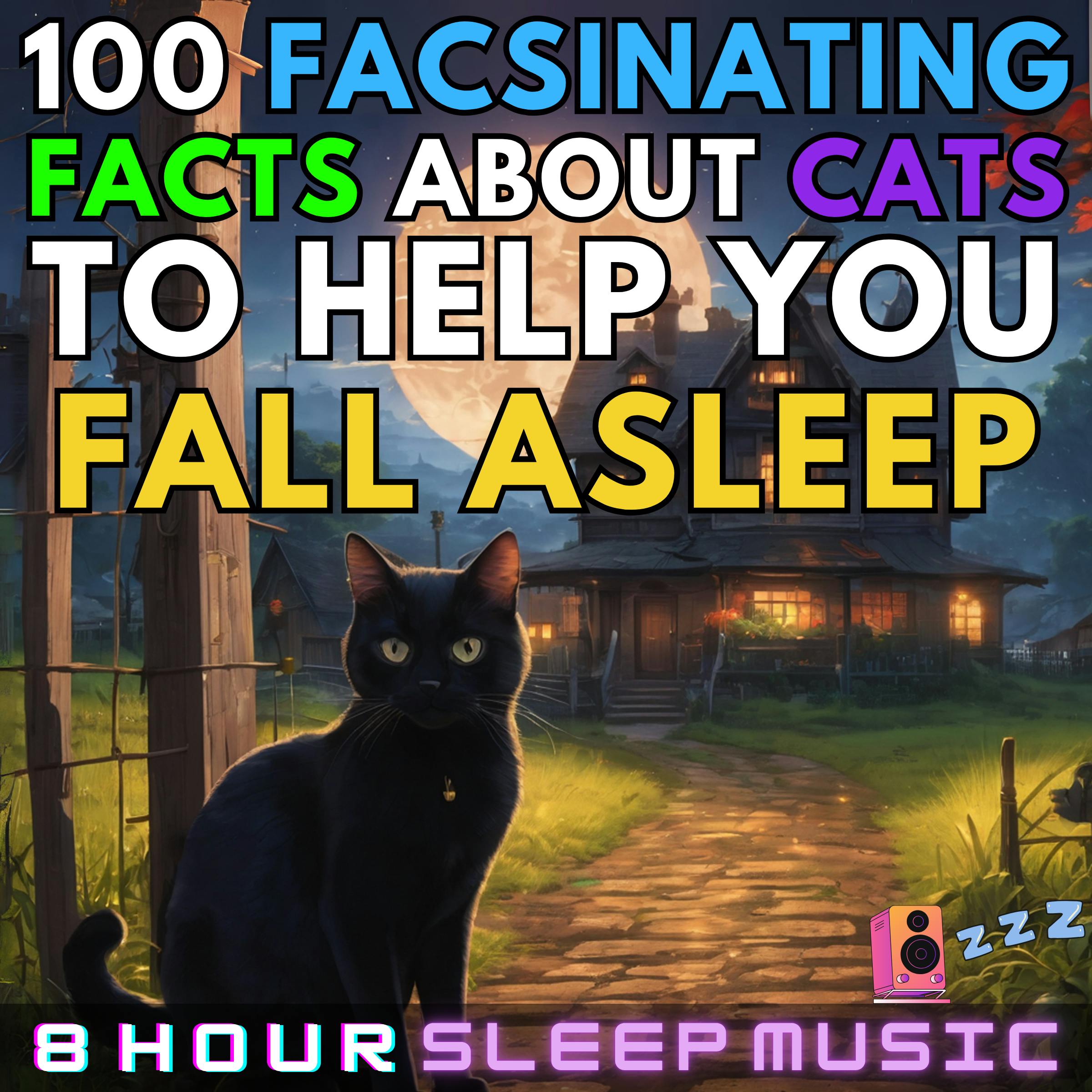 🐈 100 Fascinating Facts About Cats | 40-Minutes of Cat Facts with 8 Hours of a Cat Purring, Warm Fireplace, & Soft Piano for Sleep 💤