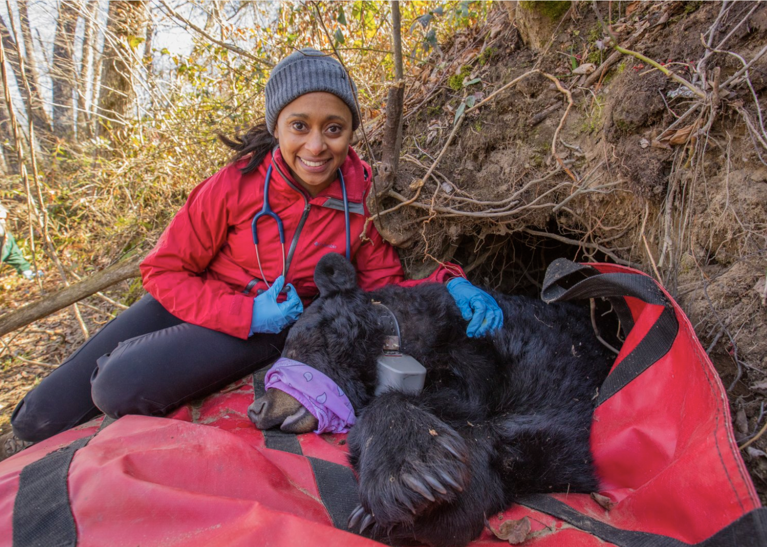 The Wild Life of Dr. Rae Wynn-Grant