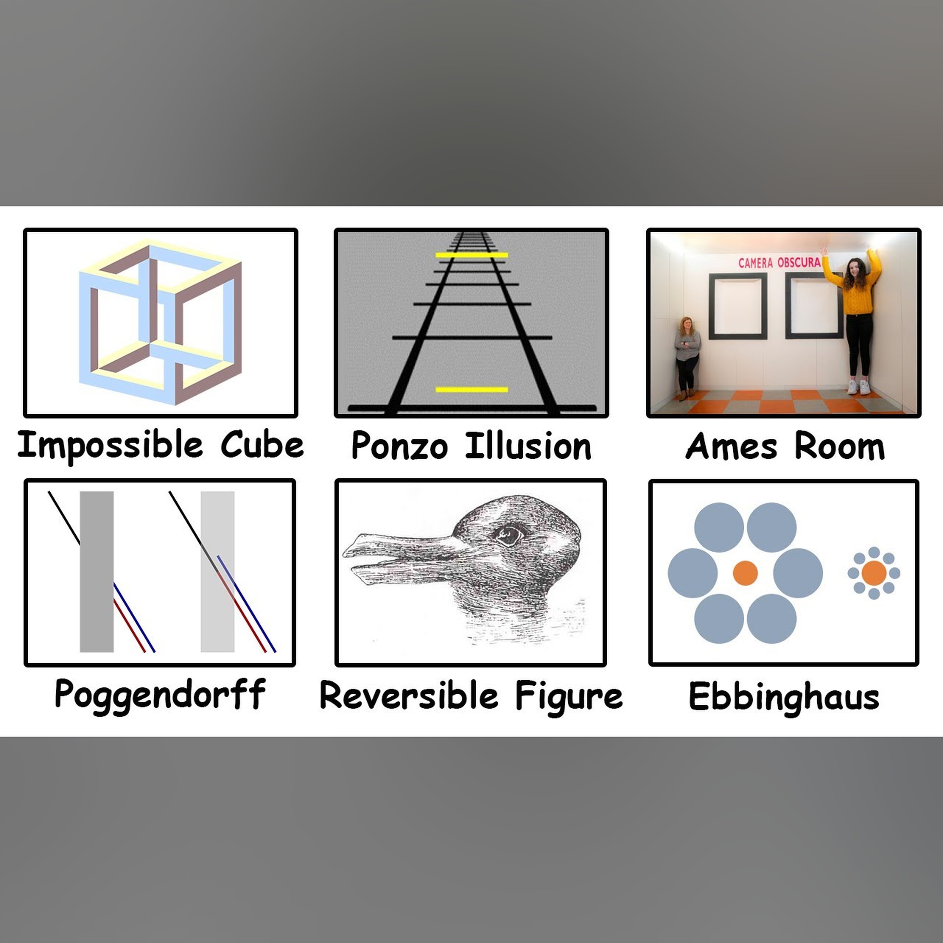 Every Optical Illusion in 8 Minutes episode artwork