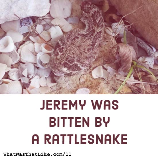 What Was That Like - True Stories. Real People.