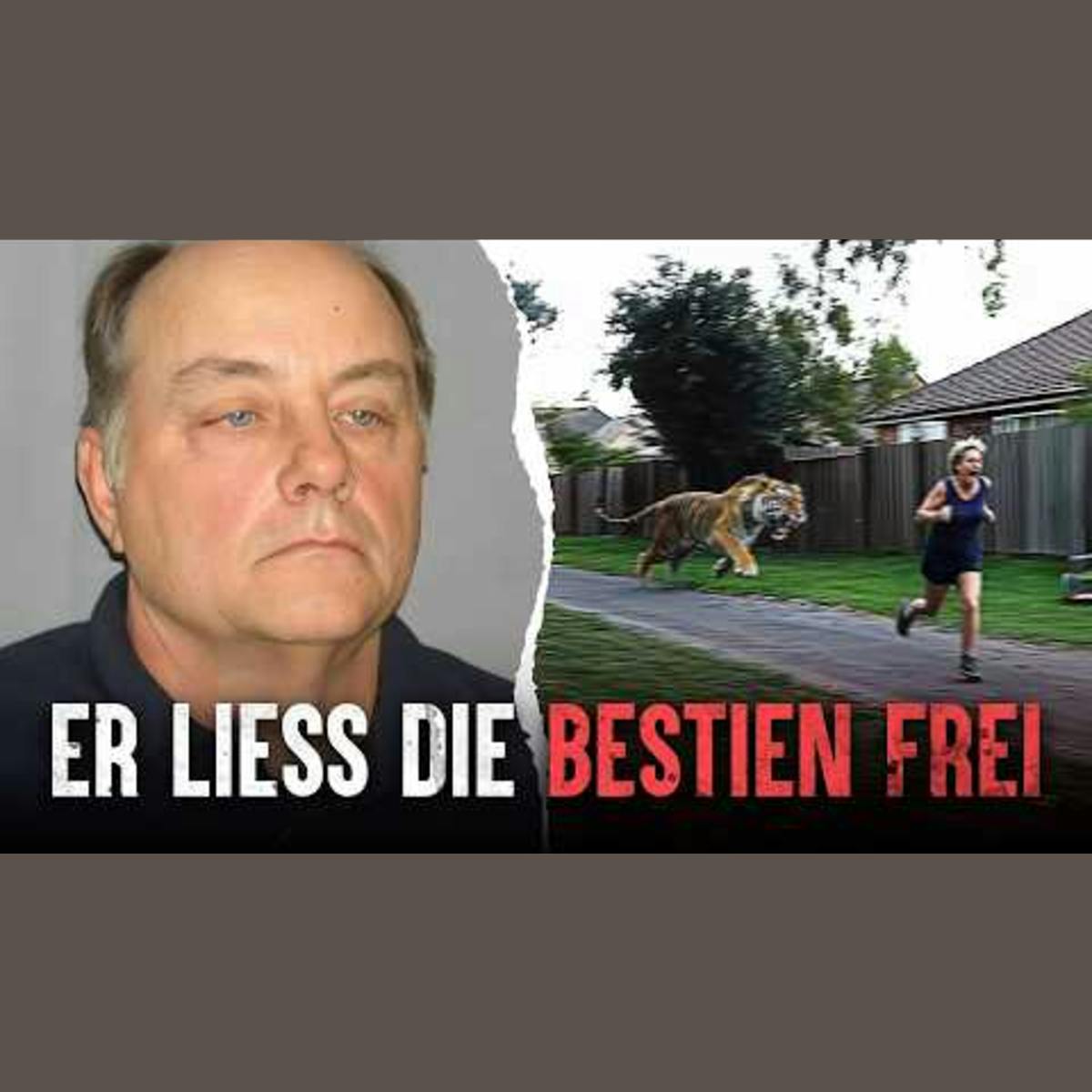 Exotischer Tierbesitzer zerstört fast eine ganze Stadt – Ein Massaker, das niemand kommen sah. Exotischer Tierbesitzer zerstört fast eine ganze Stadt – Ein Massaker, das niemand kommen sah.