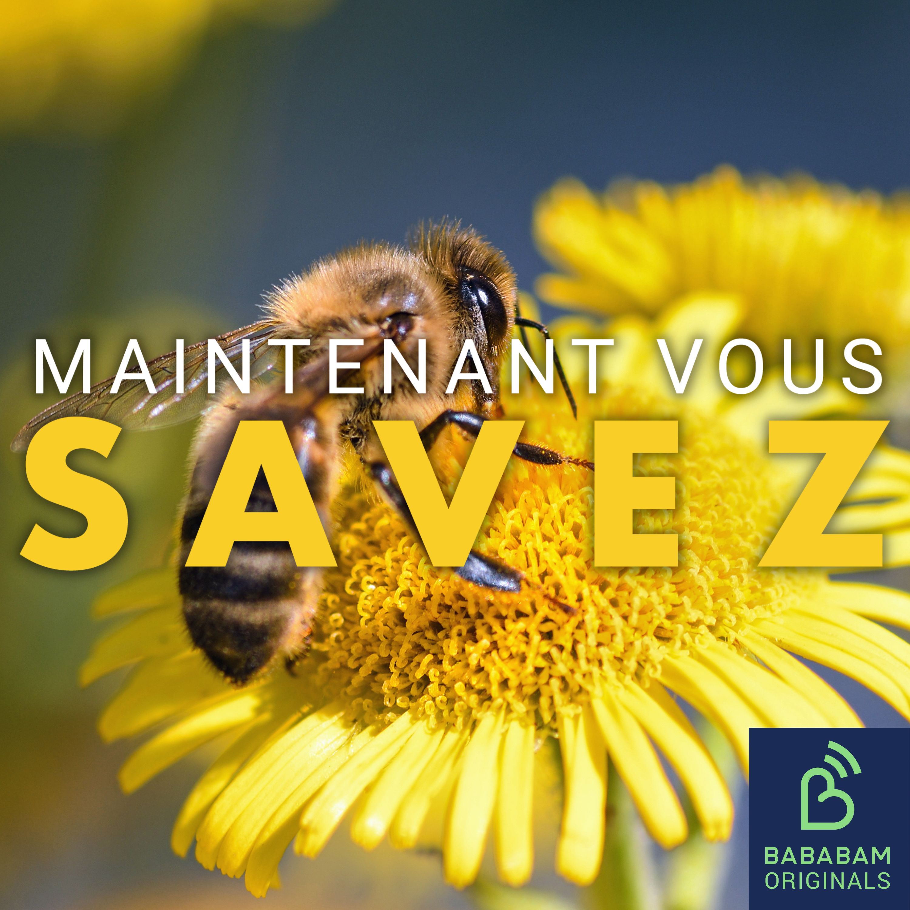 Peut-on vraiment soigner avec du venin d’abeilles ?
