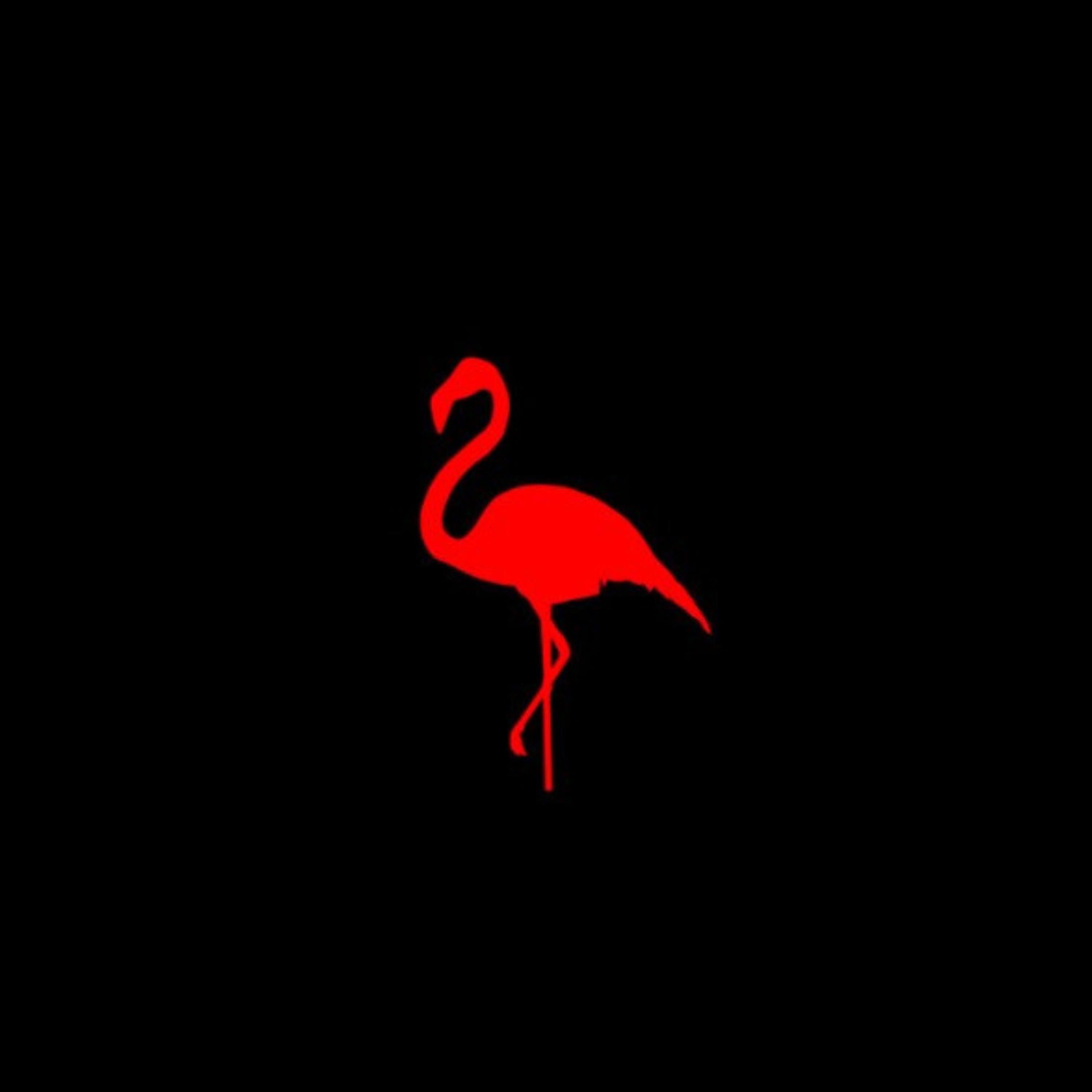 The Red Flamingo