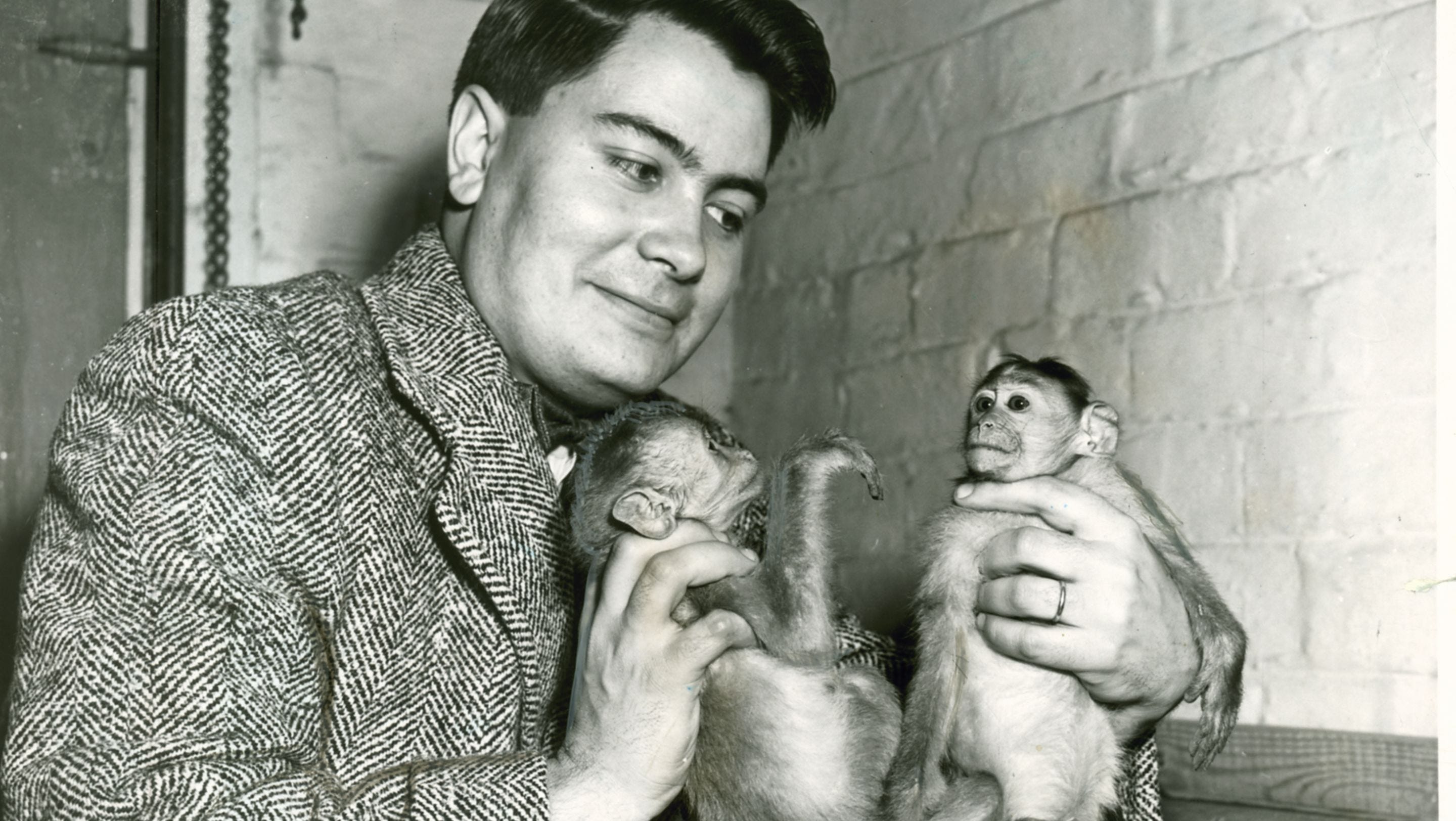 What the HELL Were You Thinking?