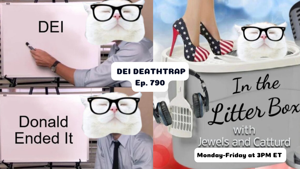 DEI DEATHTRAP | In the Litter Box w/ Jewels & Catturd – Ep. 790 – 4/28/2025