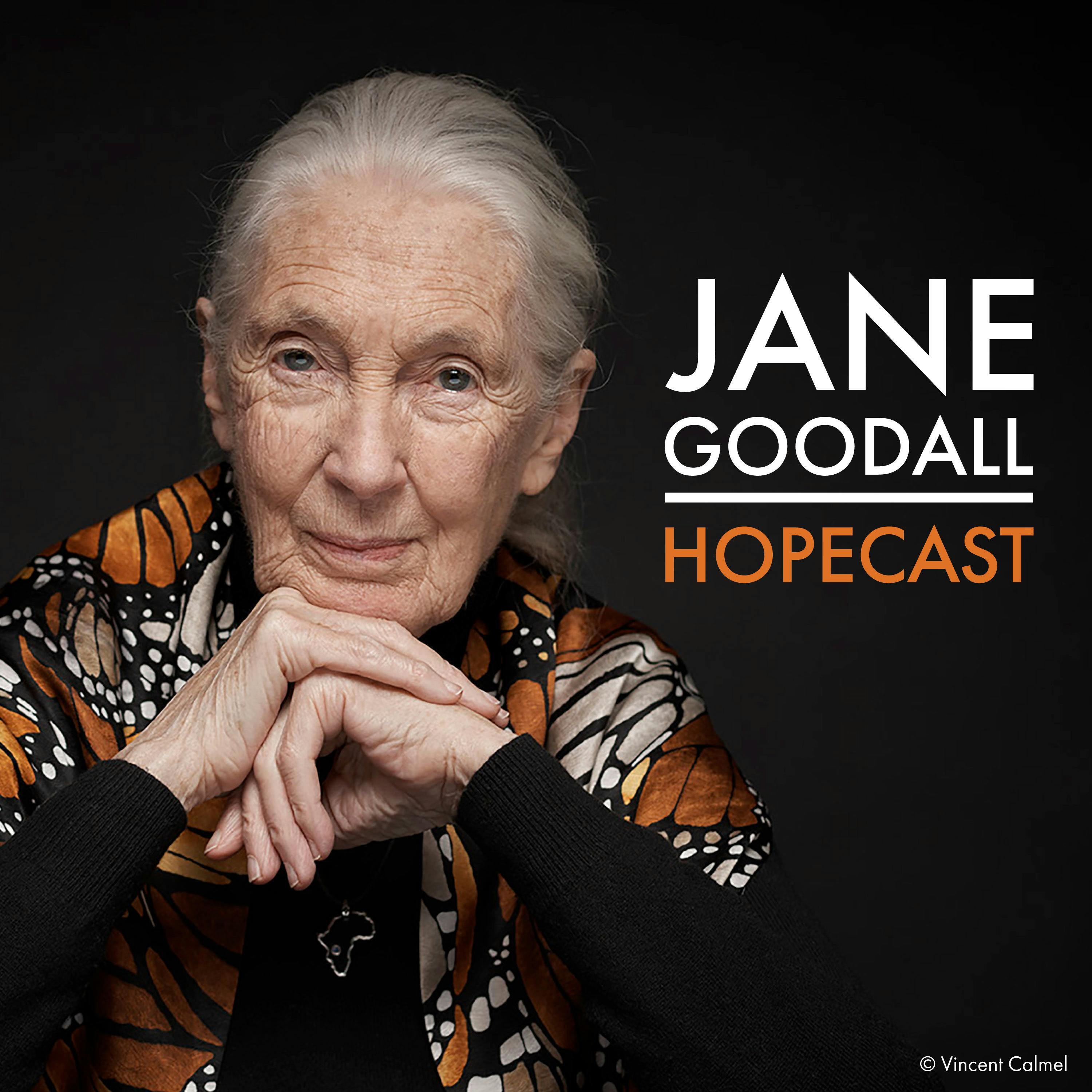 The Jane Goodall Hopecast Artwork