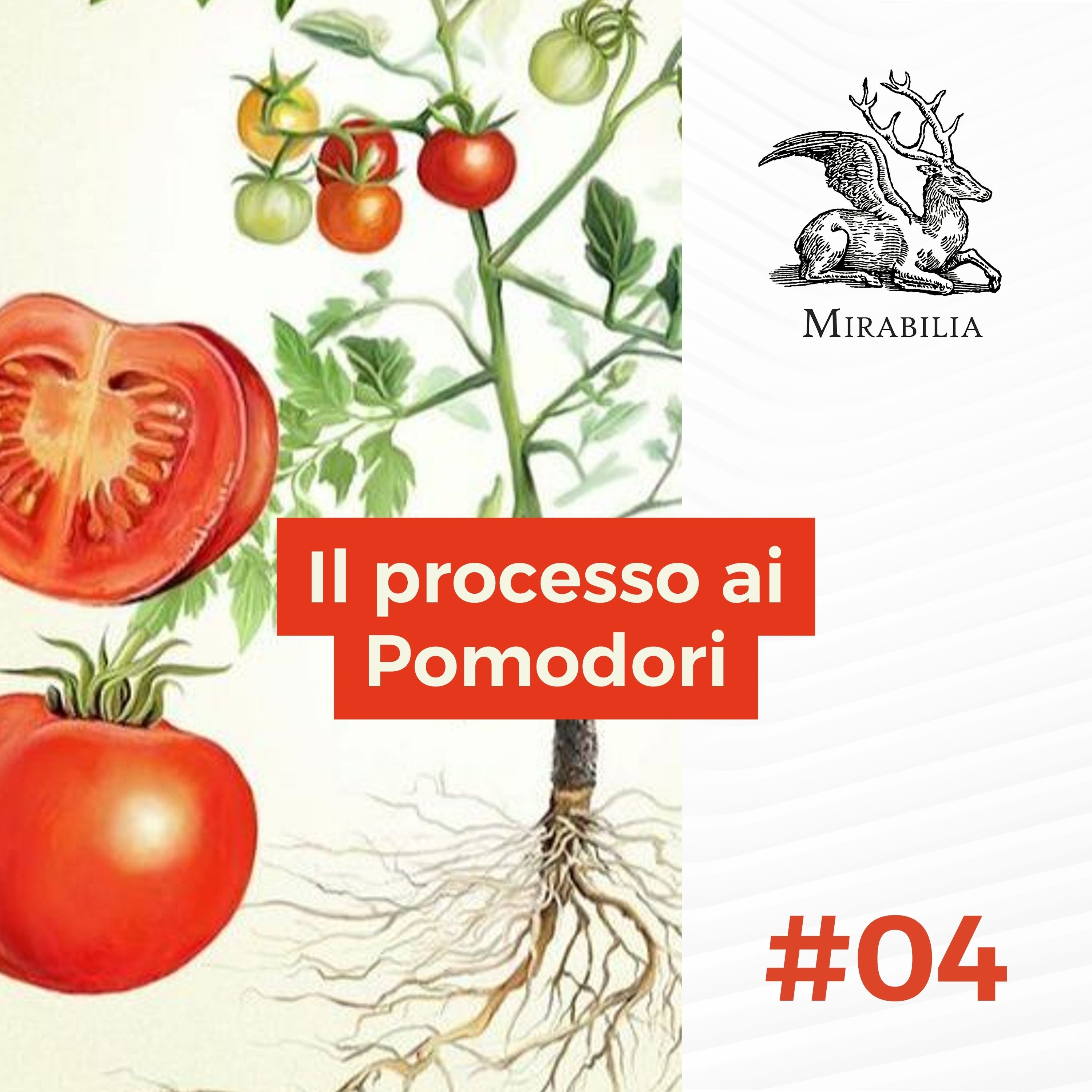 4. Il Processo ai Pomodori