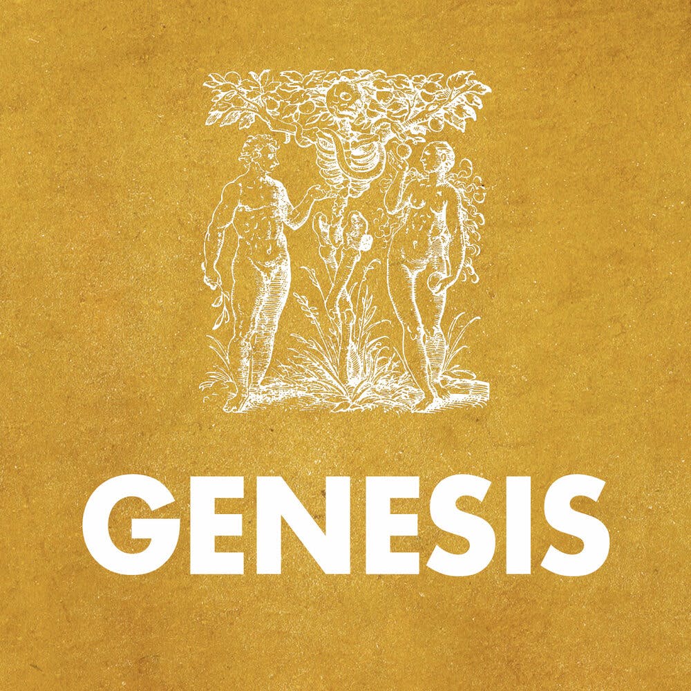 On "Genesis" episode artwork