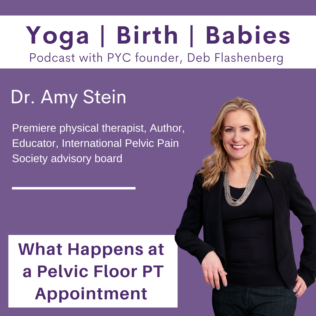 What Happens at a Pelvic Floor PT Appointment with Dr. Amy Stein episode artwork