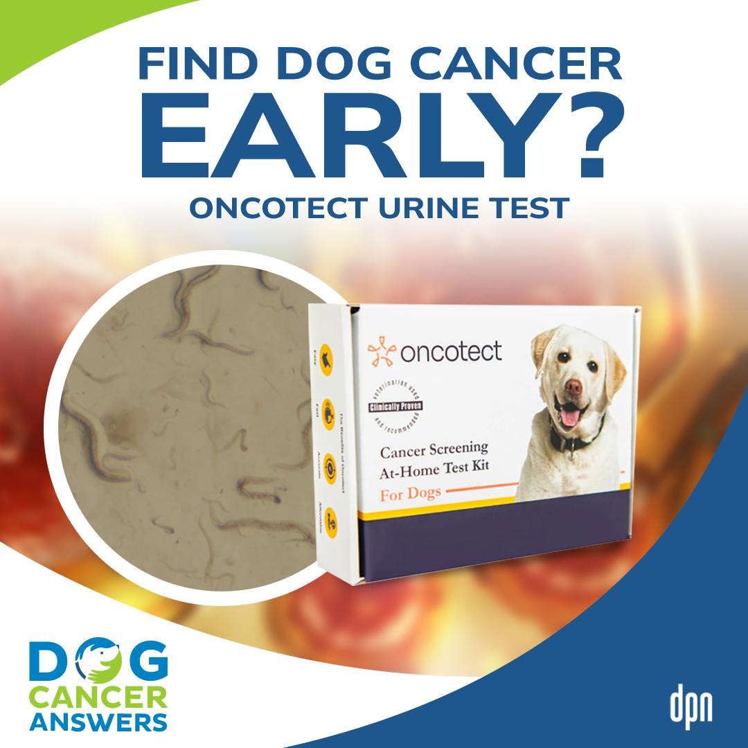Early Dog Cancer Detection with Urine-Sniffing Worms | Dr. Page Wages & Chan Namgong #238