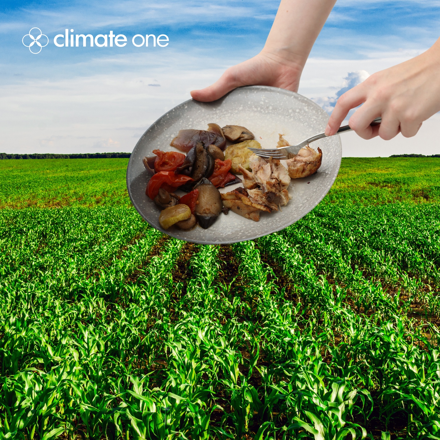 Trash Talk: Fresh Takes on Food Waste