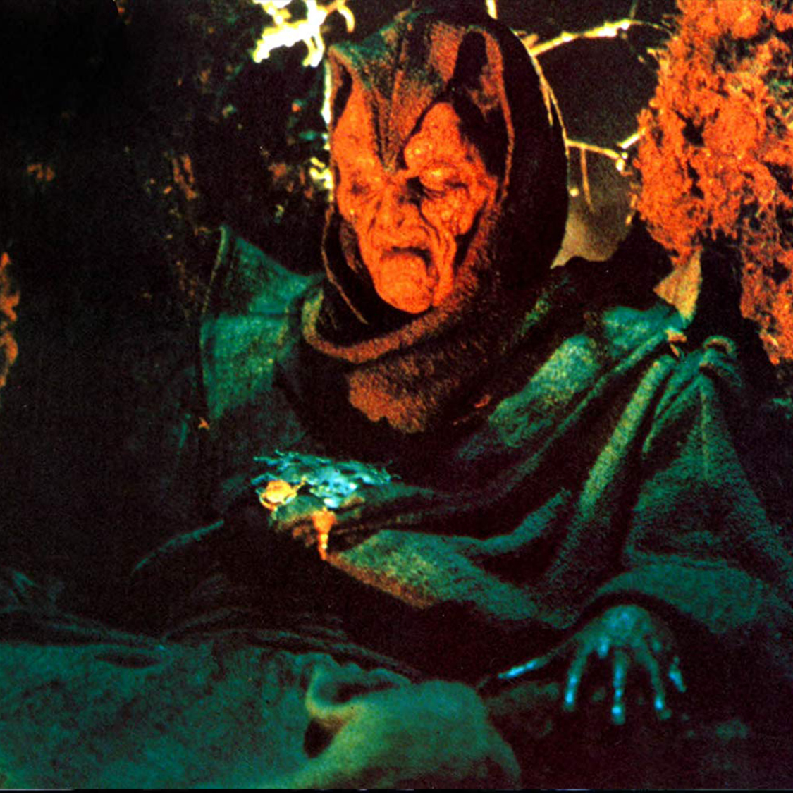 The Sword & the Sorcerer (1982)