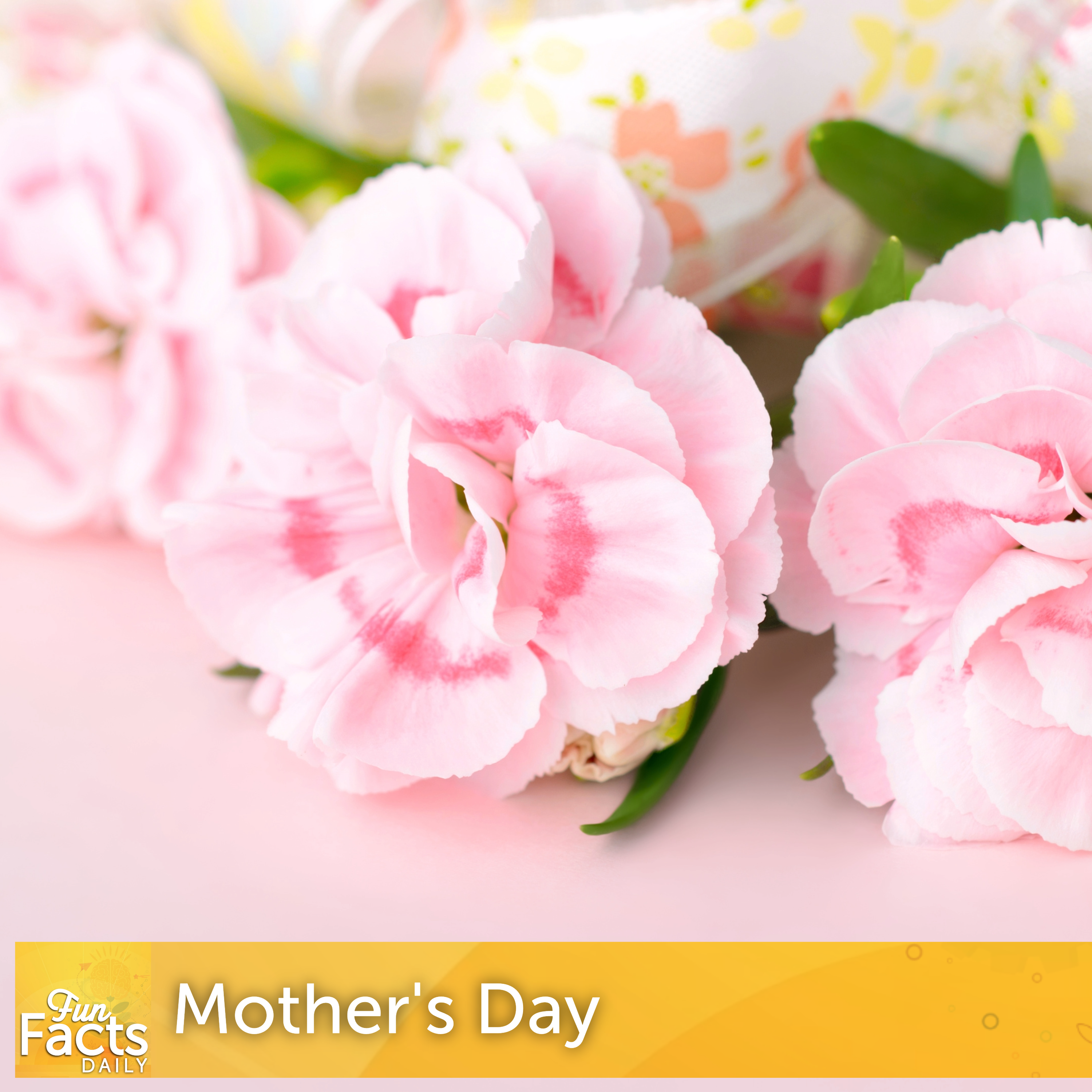 Fun Facts About Mother's Day