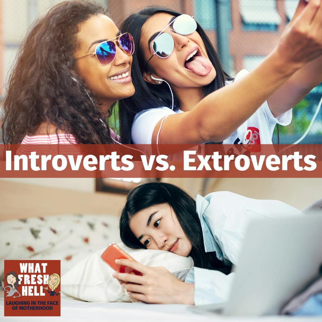 Introverts vs. Extroverts (and Making Room for Both in Your Family) Image