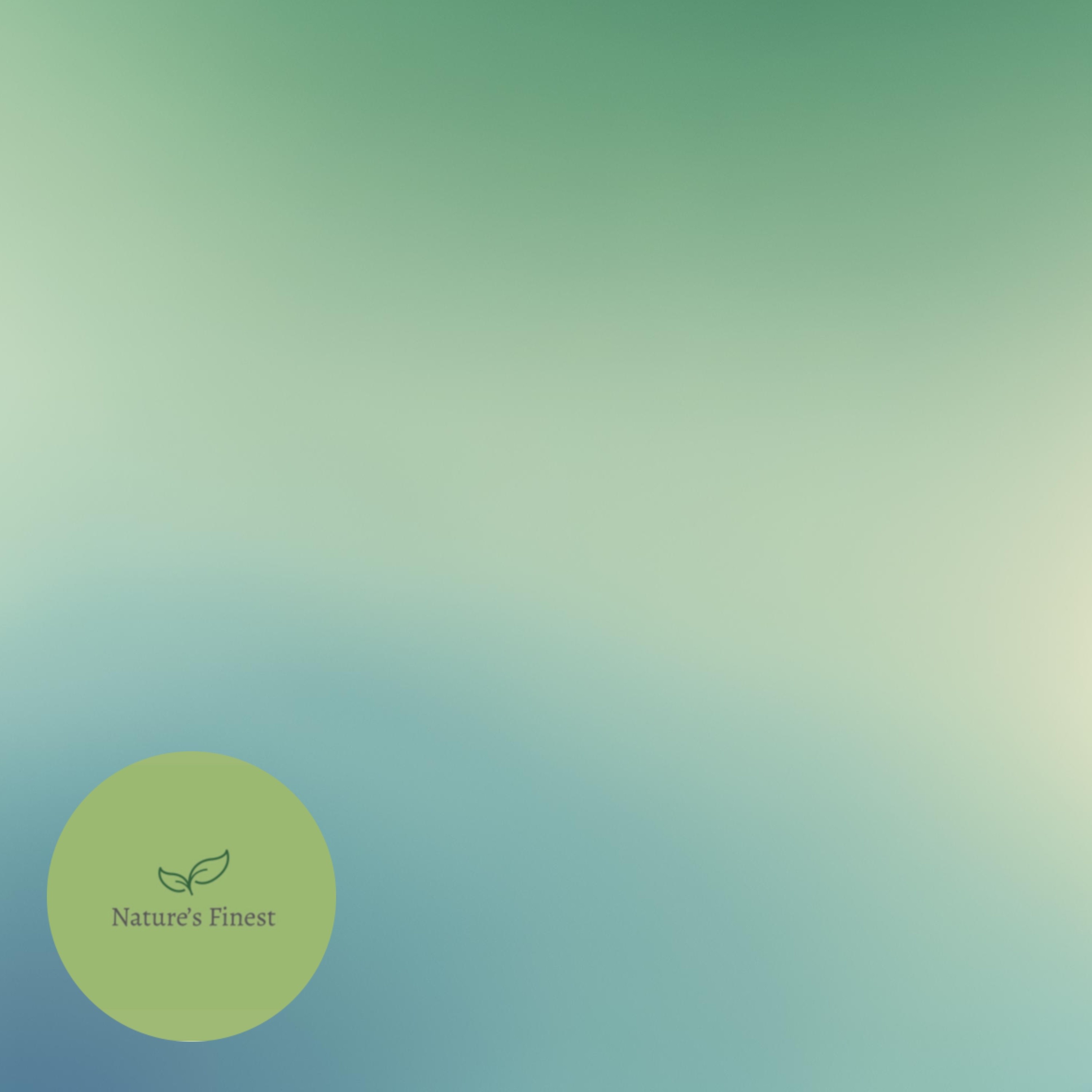 12 Hours Light Rain | Consistent Sleep Sounds