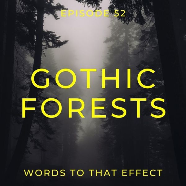 Words To That Effect BONUS | More Gothic Forests podcast artwork