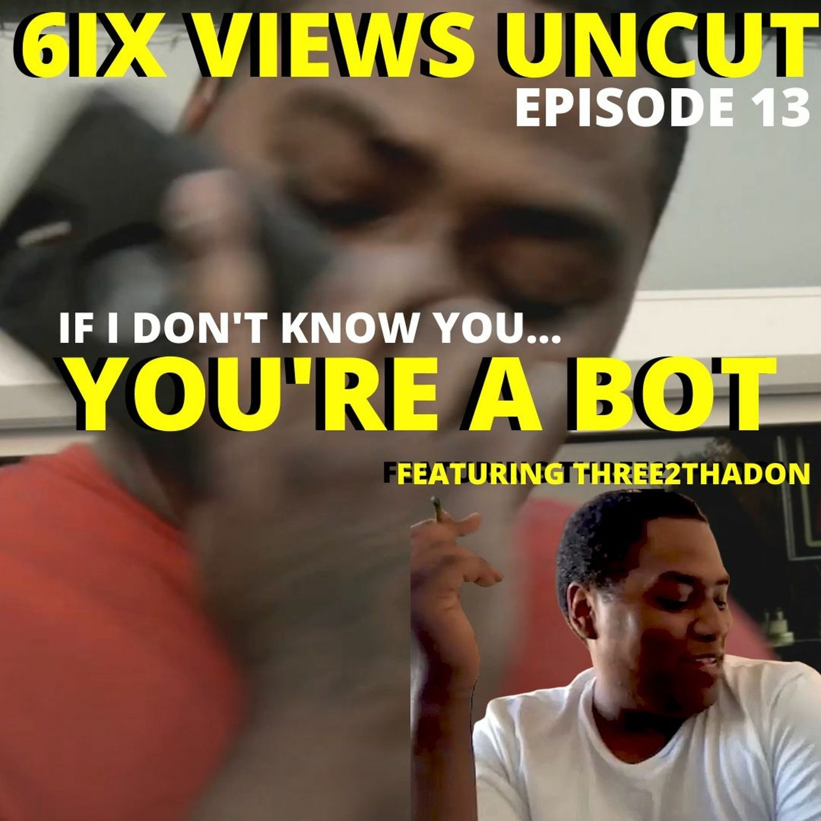 If I Don't Know You... You're A Bot ft. Three2ThaDon | 6IX VIEWS UNCUT E13 episode artwork