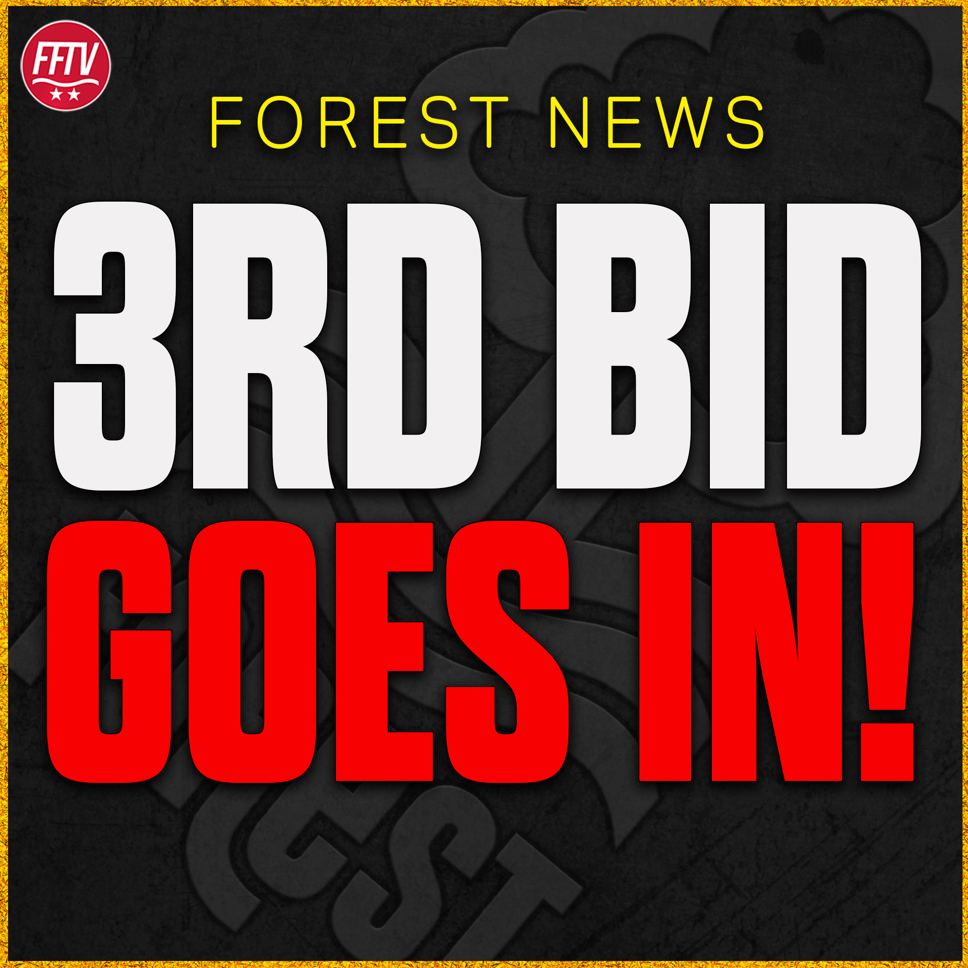 Forest Fan TV - A Nottingham Forest Podcast
