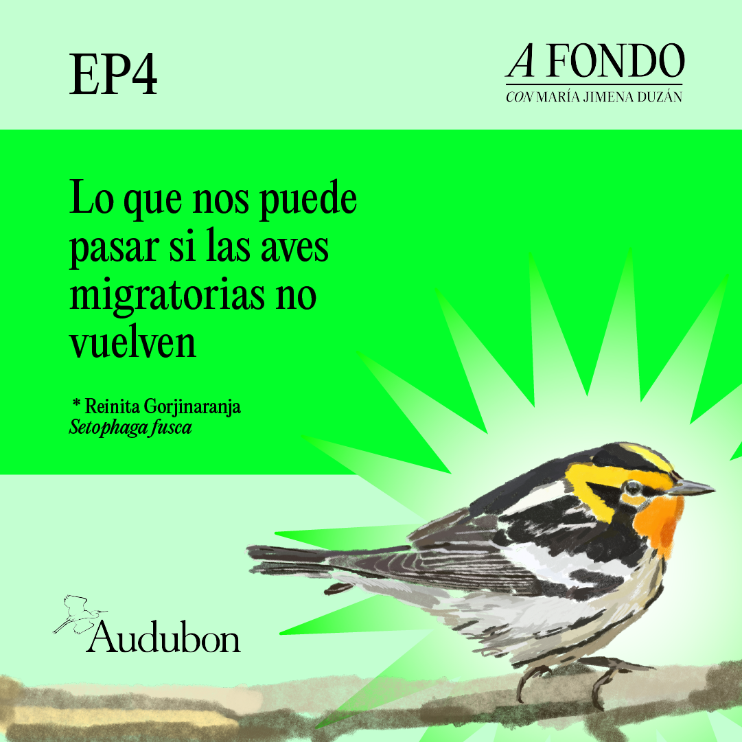 A Fondo Con María Jimena Duzán