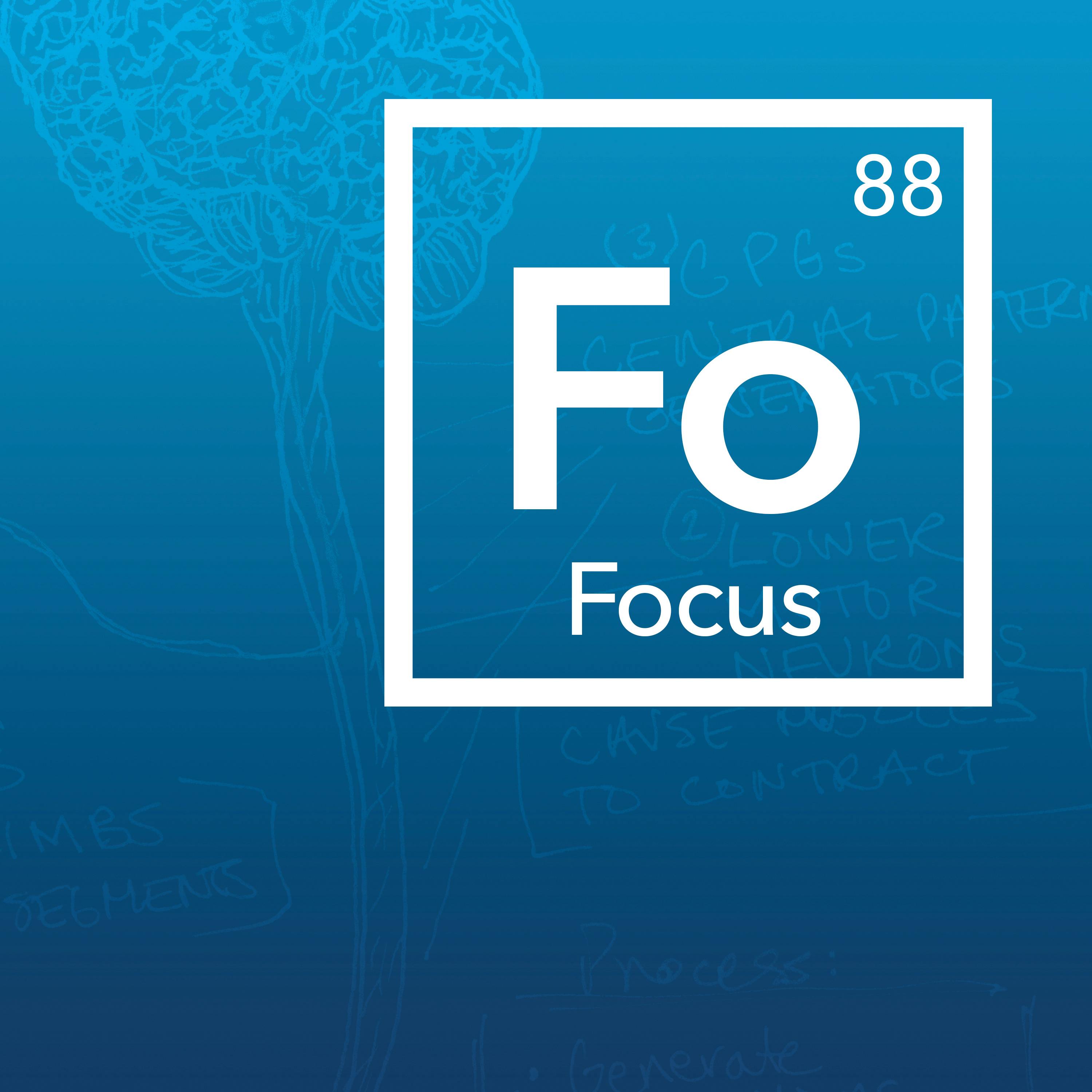 Tools to Improve Your Focus & Concentration