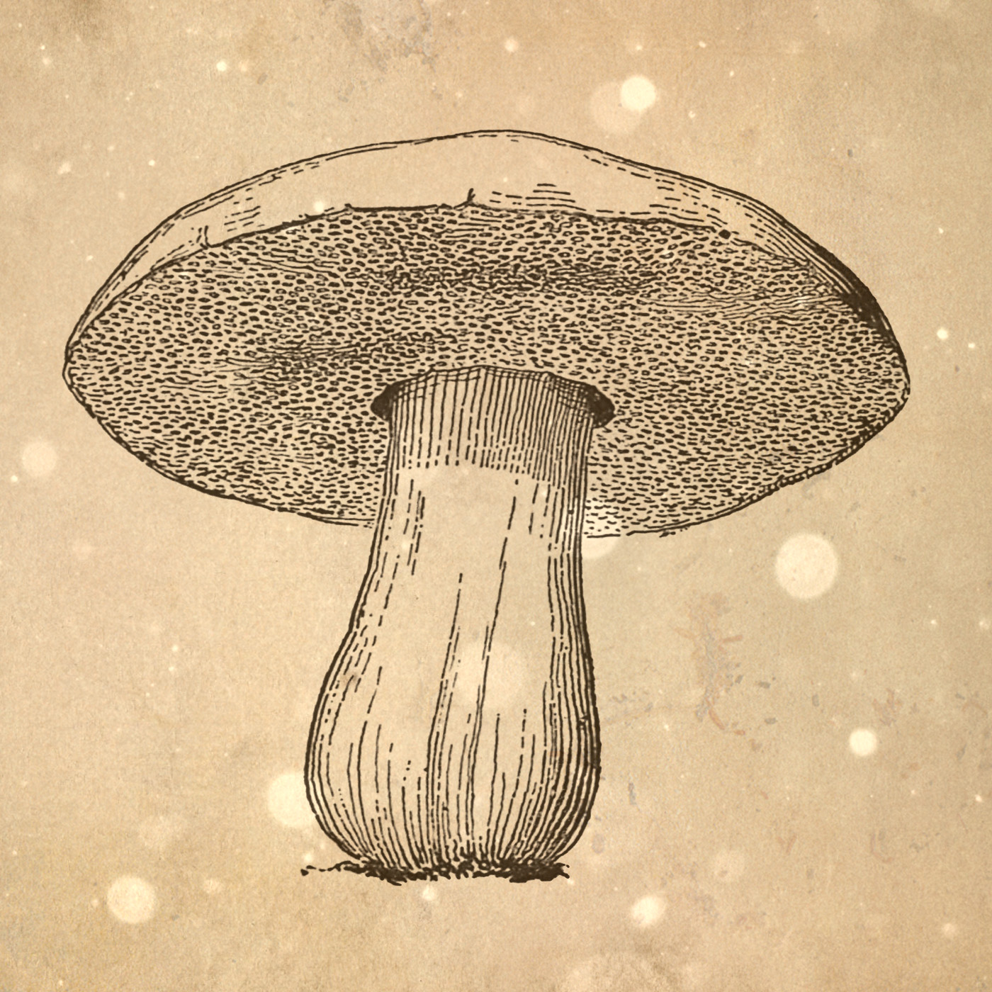 Loremen S6Ep45 - The Hanborough Haunting