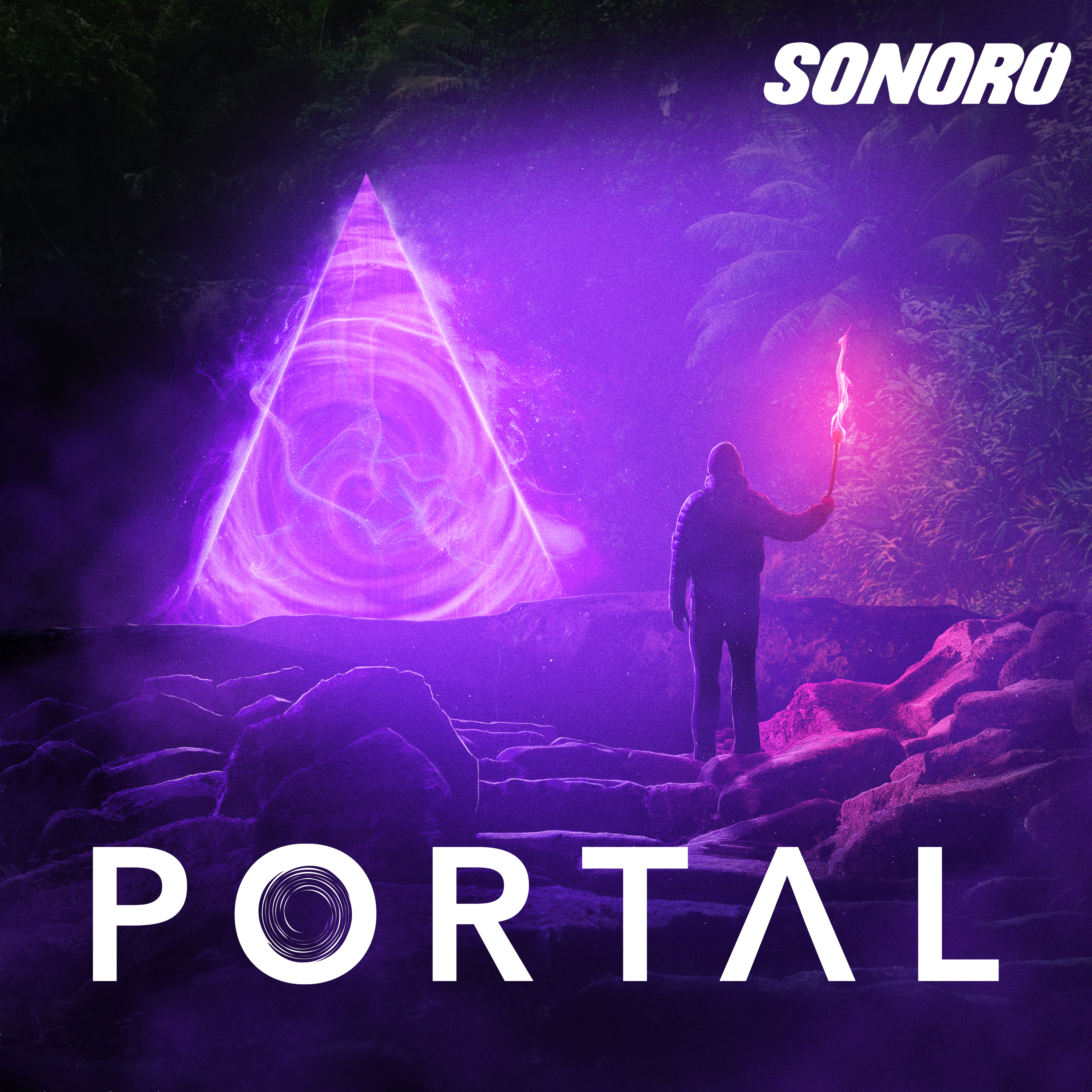 Portal Sonoro | Primer aniversario