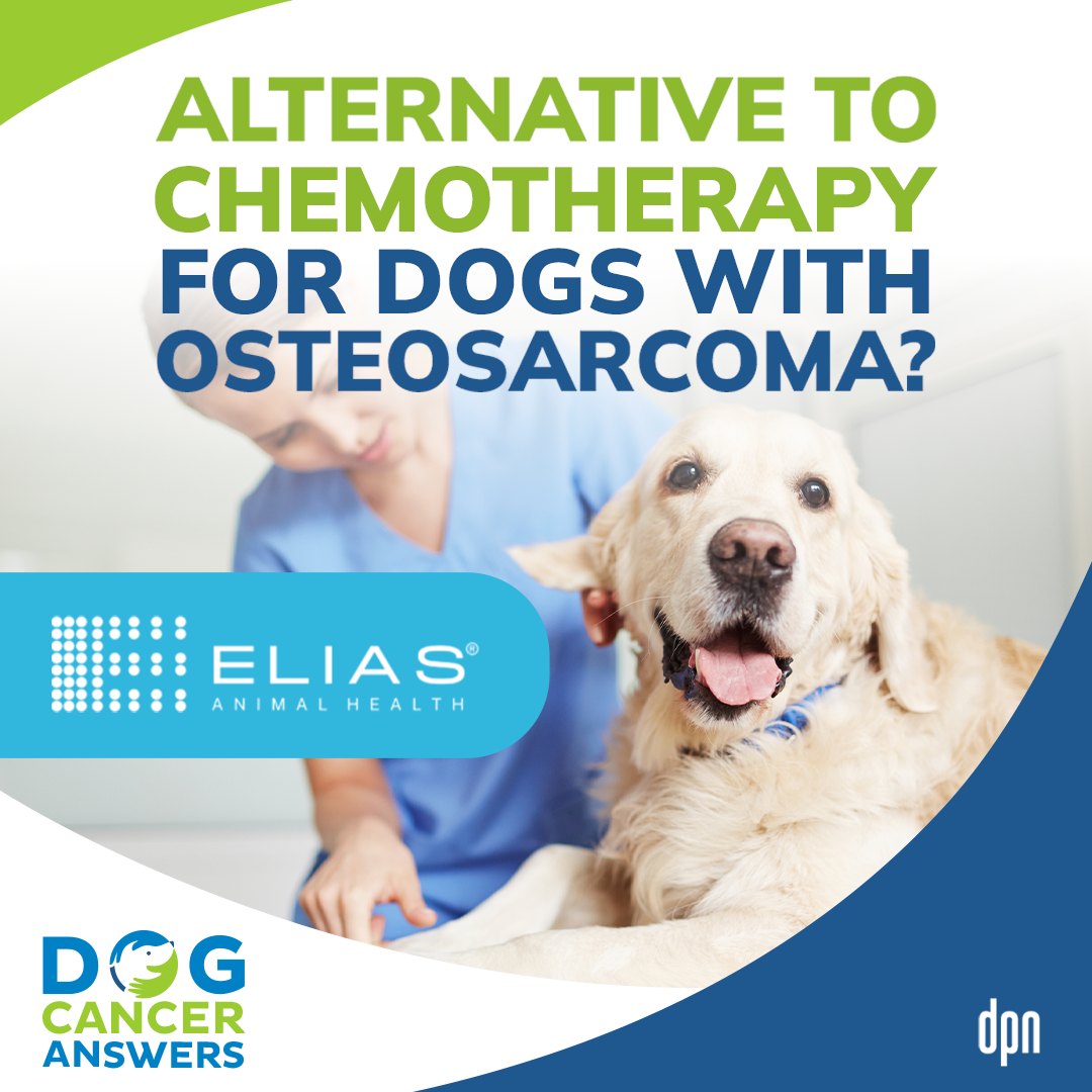 Alternative to Chemotherapy for Dogs with Osteosarcoma | Tammie Wahaus of ELIAS Animal Health #242