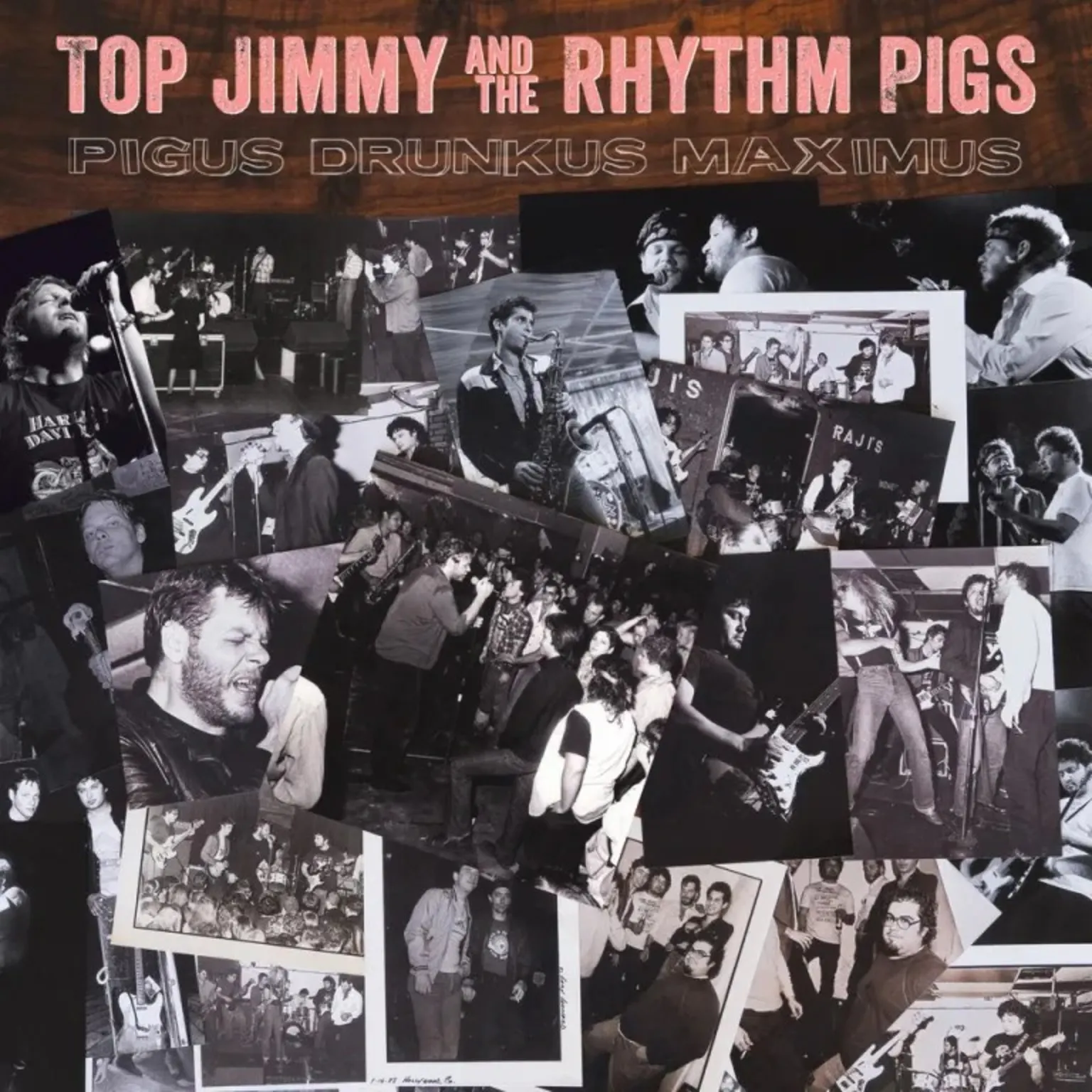 Steve Berlin Is A Rhythm Pig episode artwork
