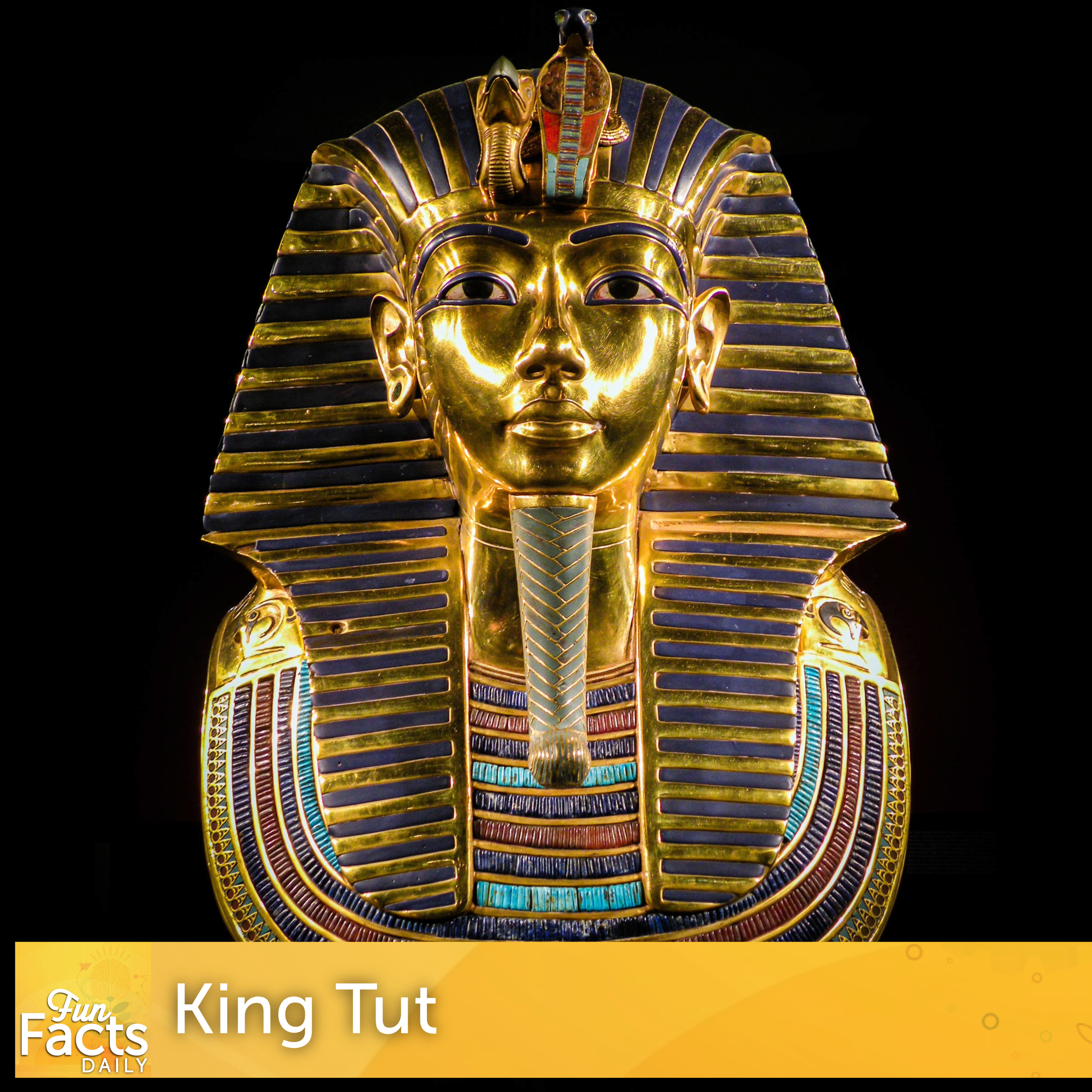 Fun Facts About King Tut