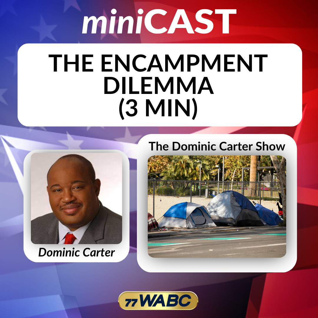 Dominic Carter: The Encampment Dilemma (3 min) episode artwork