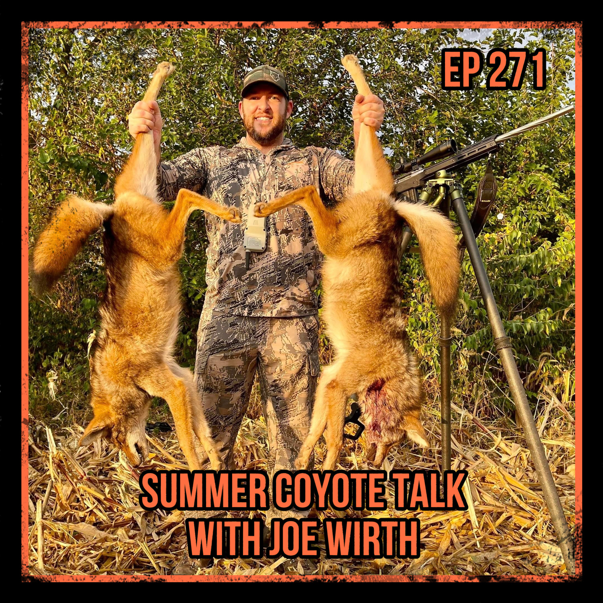 Missouri Woods & Water - Summer Coyote Talk With Joe Wirth