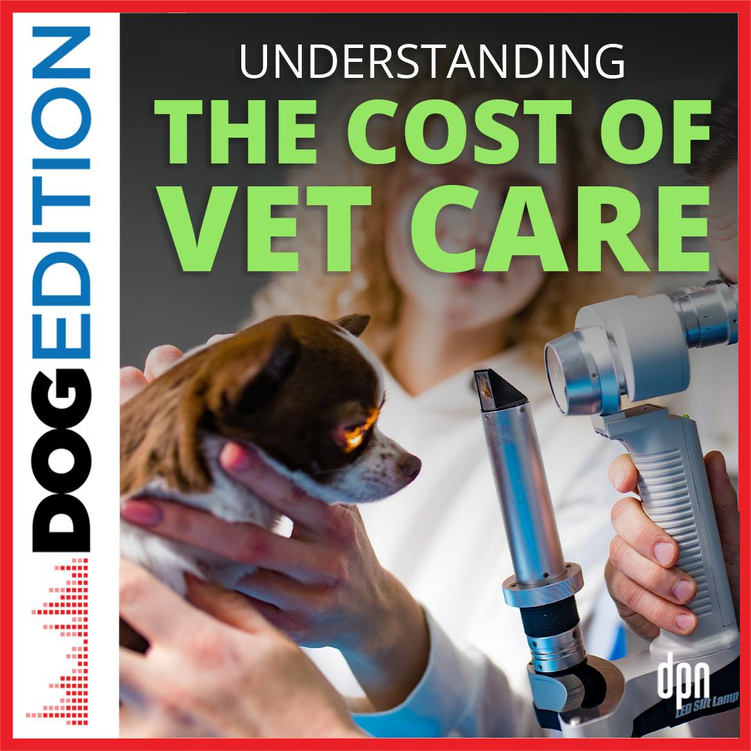 Understanding the Cost of Vet Care | Dog Edition #74 Understanding the Cost of Vet Care | Dog Edition #74