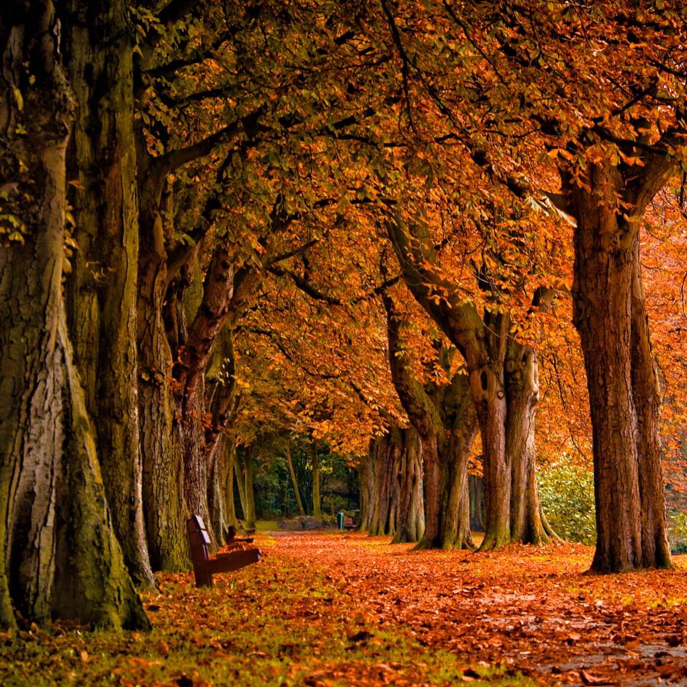 #59: Thanksgiving in the National Parks