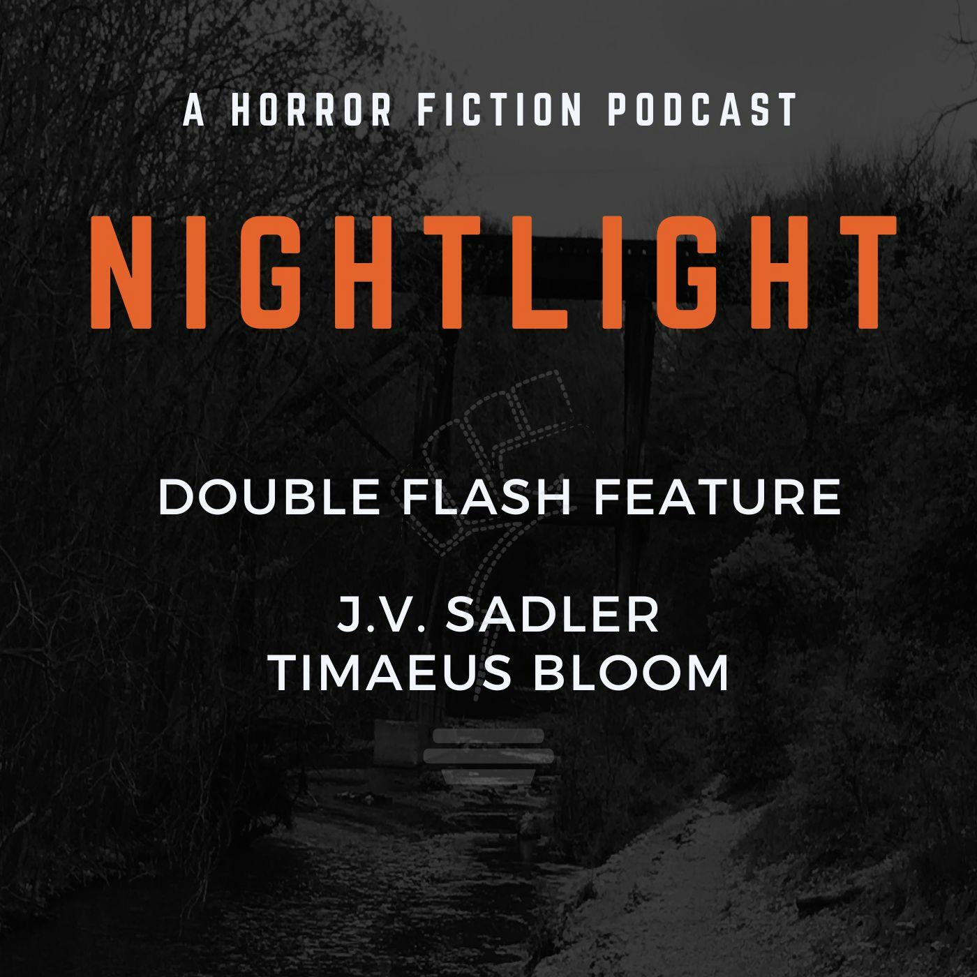 704: Flash Fiction by J.V. Sadler and Timaeus Bloom