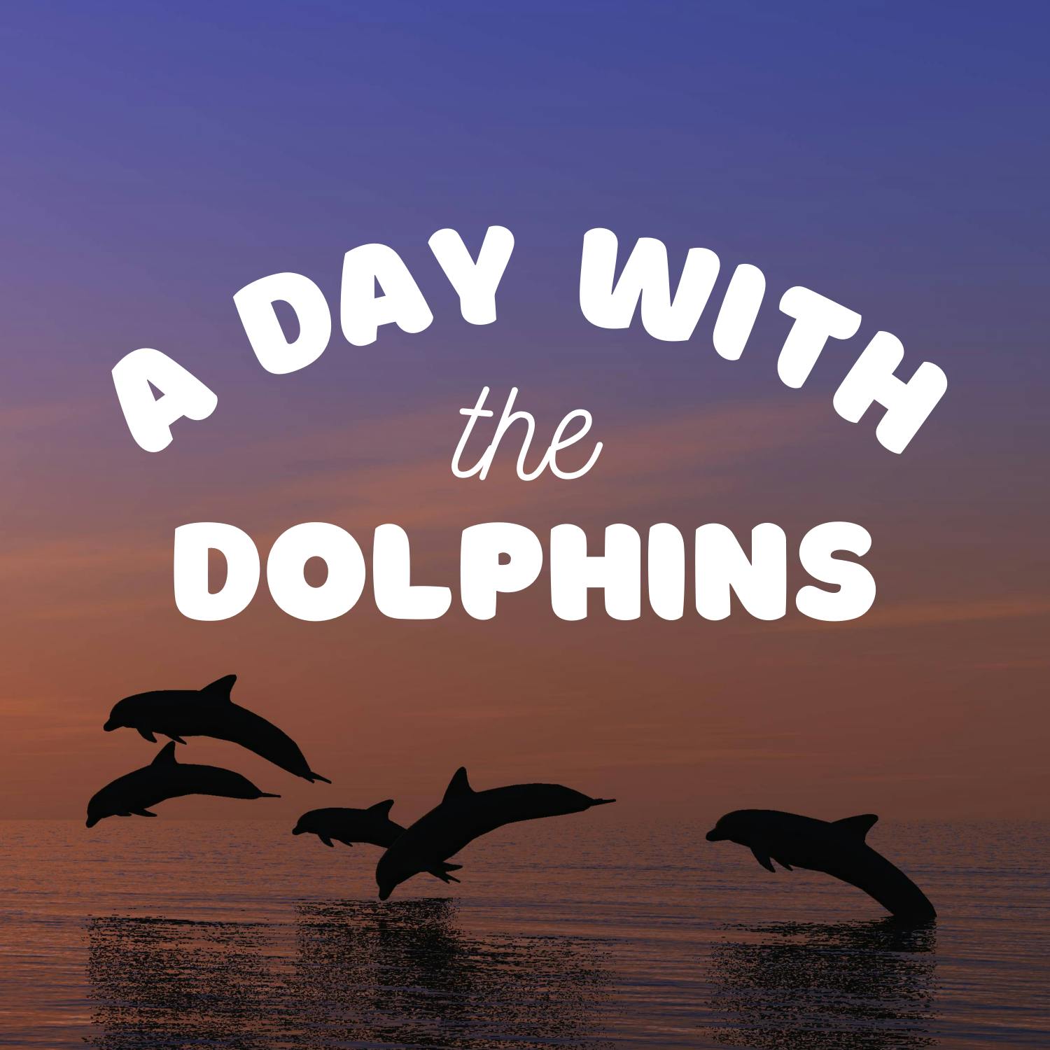 A Day with the Dolphins