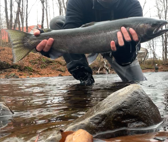 Fly Fishing Consultant Podcast