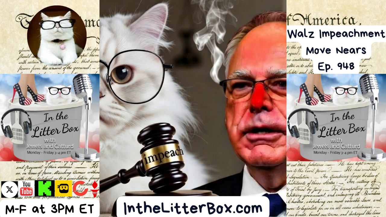 Walz Impeachment Move Nears | In the Litter Box w/ Jewels & Catturd – Ep. 948– 1/13/2026