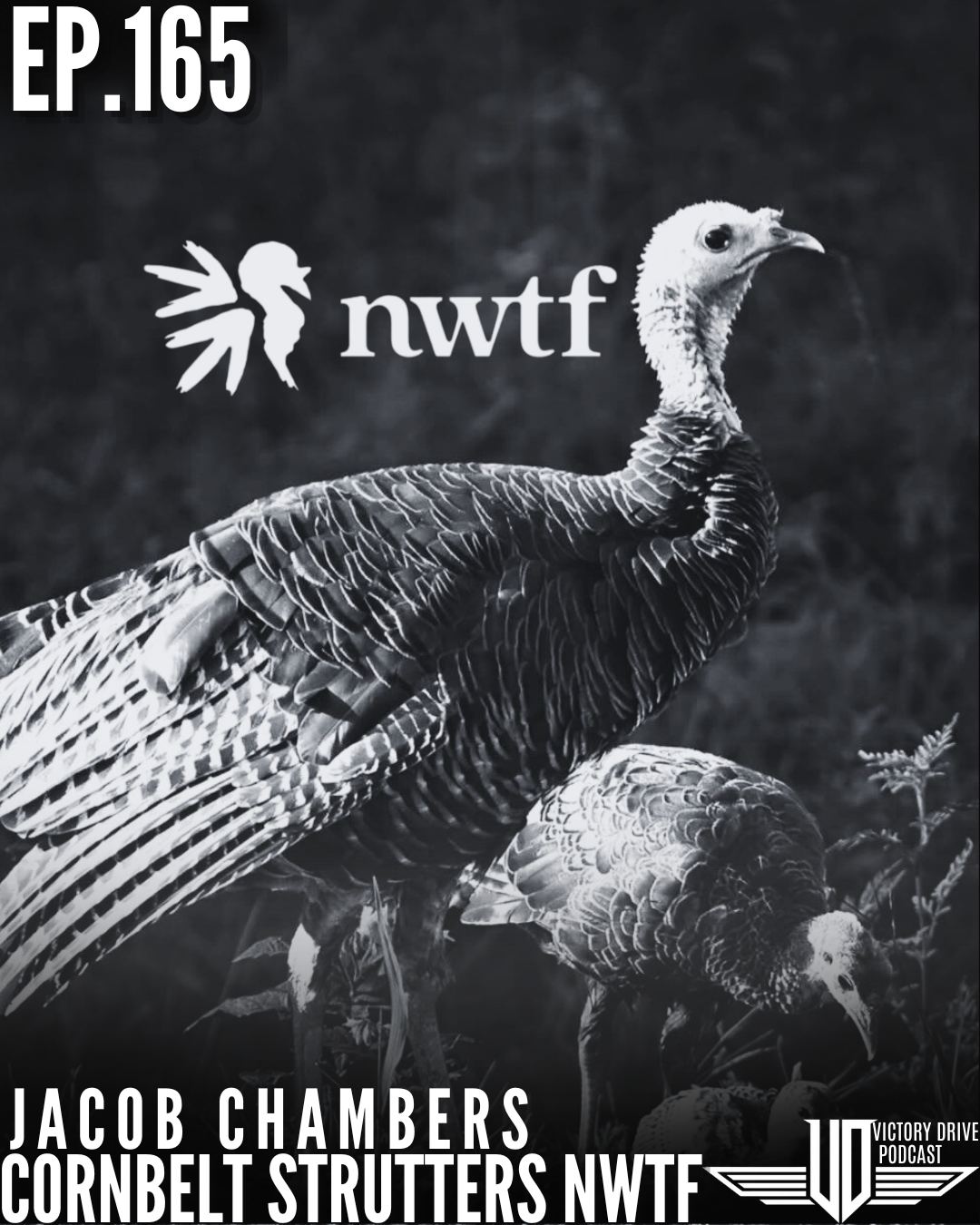 165 Cornbelt Strutters NWTF - Jacob Chambers & Luke Washington