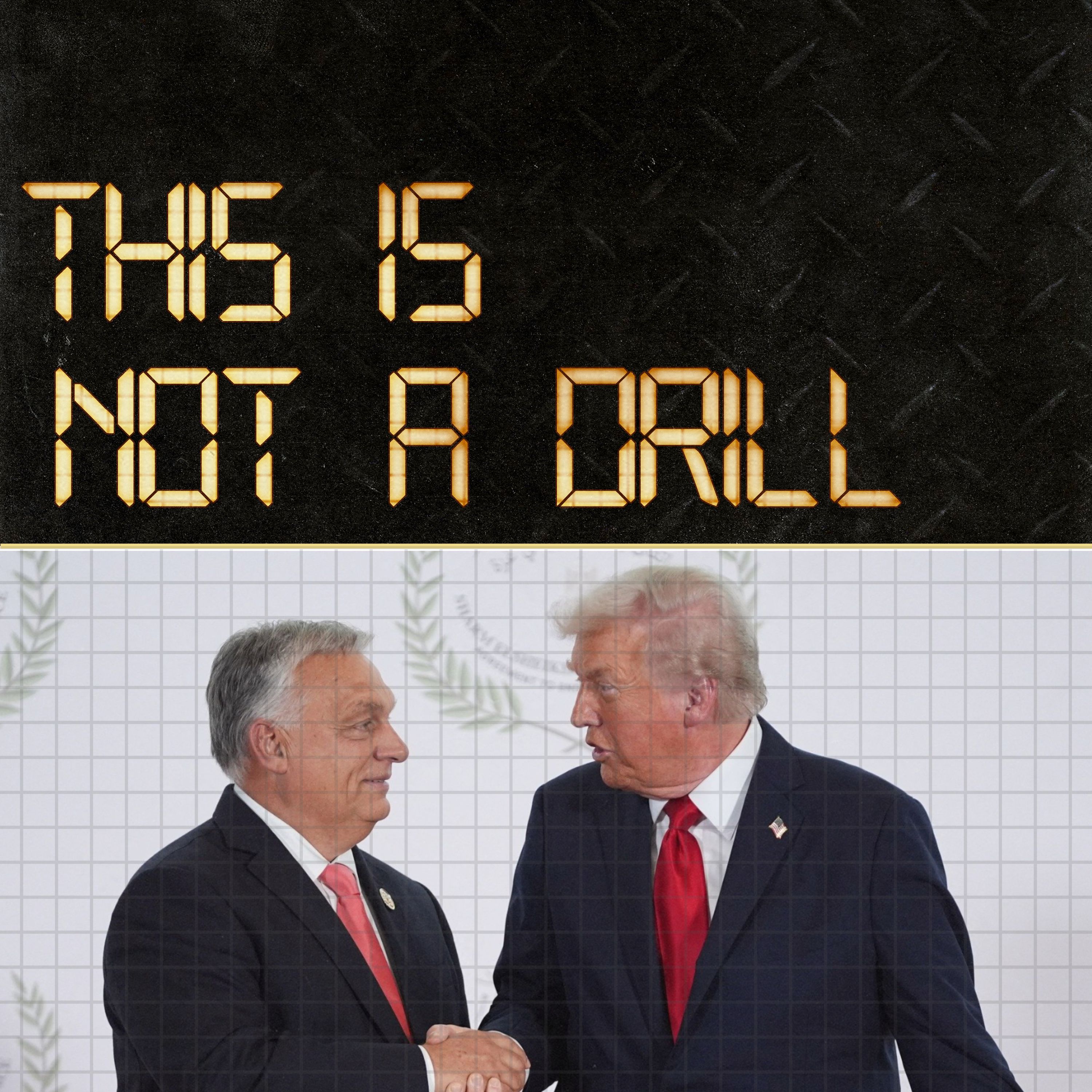 The populist playbook - how the right wing connects globally