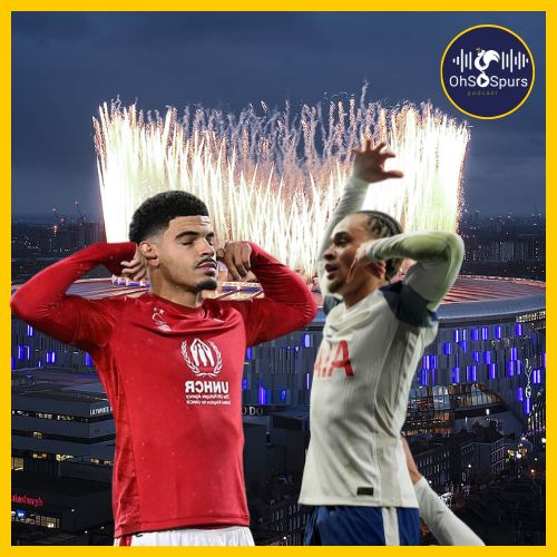 An Opponents View - Why Do Tottenham And Forest Hate Each-other?