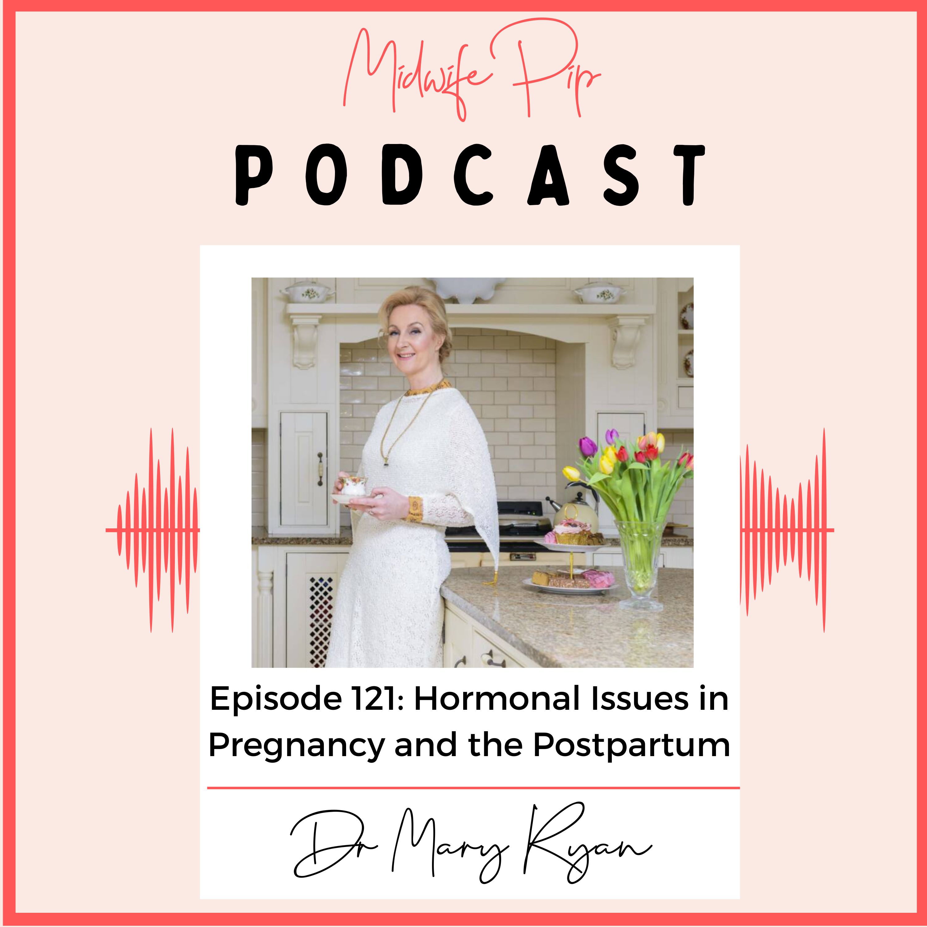 E121. Hormonal Issues in Pregnancy and the Postpartum With Dr Mary Ryan