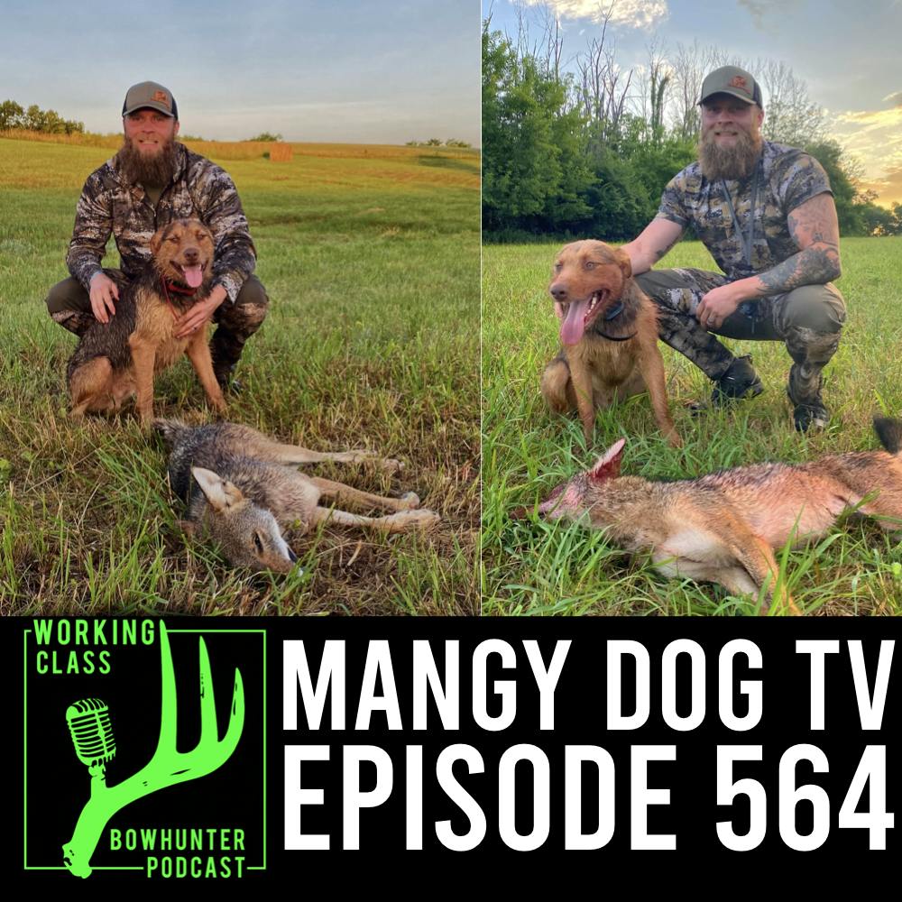 564 Mangy Dog TV - Joey Hartley